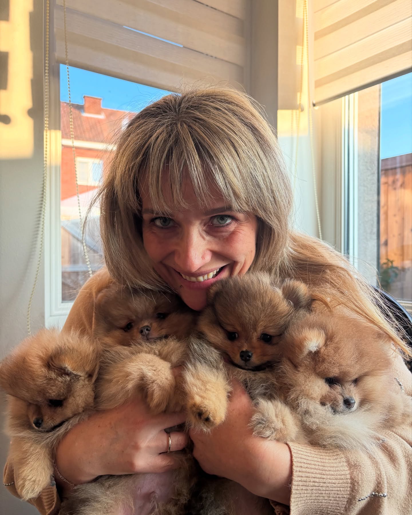 Dit prachtige nestje van Denver x Nairobi zal ik enorm missen. Was er eentje uit de duizend. En ze krijgen de allerbeste baasjes ♥️ #pomeranians #pomeranianpuppy #pomeranianboy #pomeraniangirl #puppies #fluffy #fluffydog