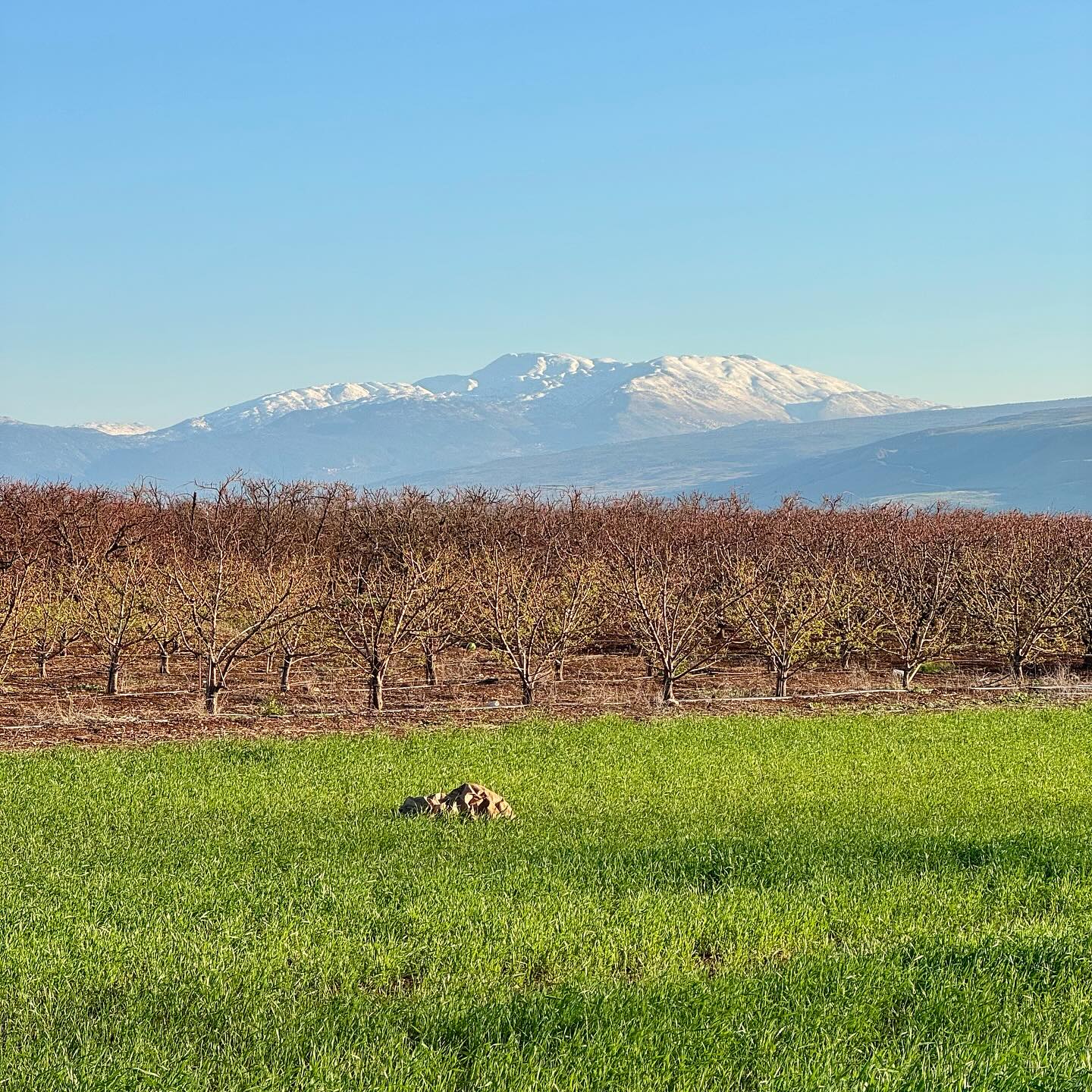 A beautiful Hermon mountain northern Israel #travellocalisrael 🇮🇱❤️