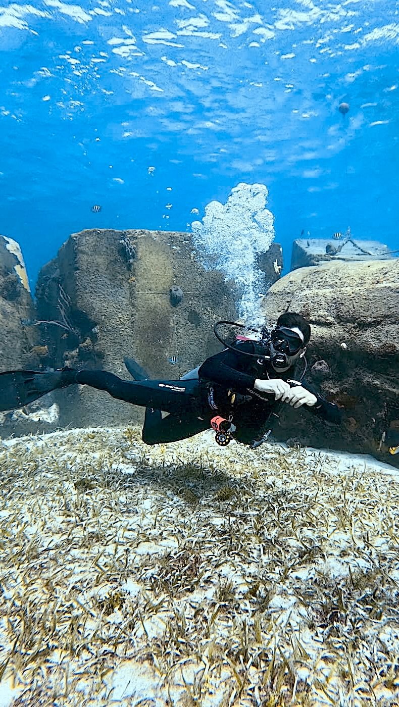 All you beautiful people who came to become #padipros with us in 2024 and those who helped us with managing this crazy Dive House operation: we would not be where we are without you! Thank you for your trust & we hope we will see lots of your pretty faces again, for some more underwater shenanigans!
#cozumeldiveschool #padidivemaster #divemaster #divemastertraining #divemasterlife #goprocozumel #cdsfam #cdsfamily #divebuddies #bestbuddies #padipro