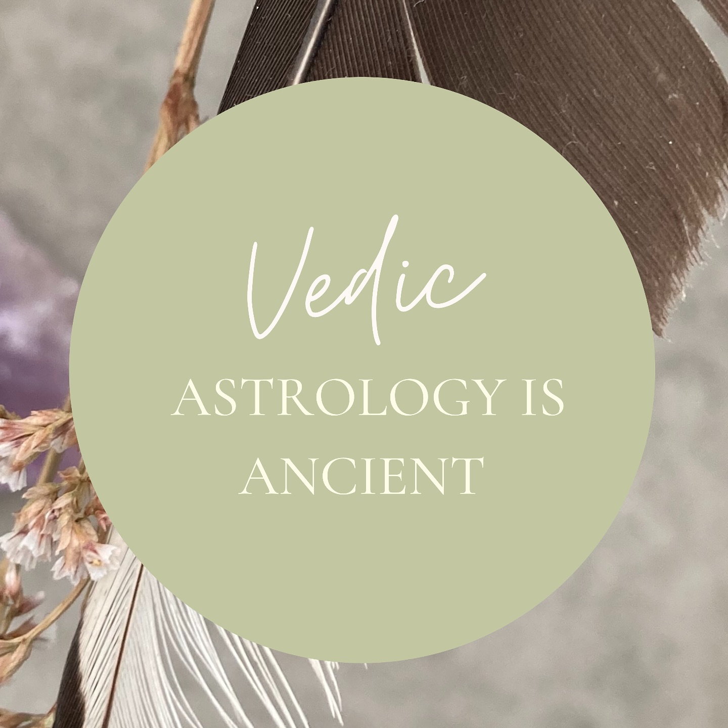 Did you know that Vedic astrology 🪐 is one of the oldest types of astrology? The practice of Vedic astrology in India 🪷 is centuries and centuries old. 6000 year old palm leafs have been found with astrological mantra’s written on them.
More recently, the popularity of Vedic astrology outside India has been growing rapidly. Which is not surprising since more and more people are interested in learning more about themselves on a deeper level.
#astro #astrology #astrologymood #astrologia #vedic #vedas #vedicastrology #starsandplanets #soul #soulguidance #guidance #lifeguidance #lifetools #selfhelp #vediclifestyle #vedicknowledge #vedicwisdom #yoga #ayurveda #selfcare #lifestyle #wisdom #healing #heal #astrologyposts #astrology101 #zodiac #signs #zodiaksigns #jyotish