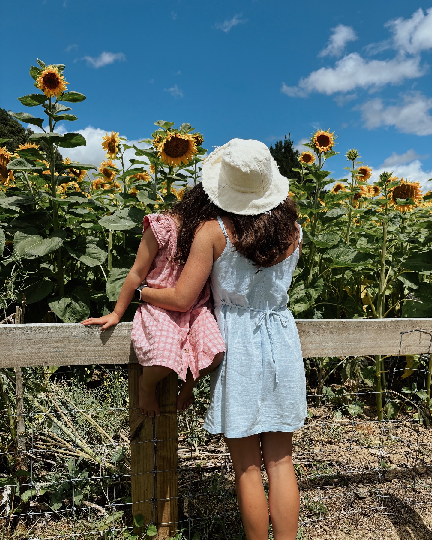 Presence within the unfolding 🌻👧🏽👩🏻📖🧘🏻♀️🧠
#summer #sunflower #sunflowers #nz #presence #motherdaughter #minime #nzsummer #unfolding