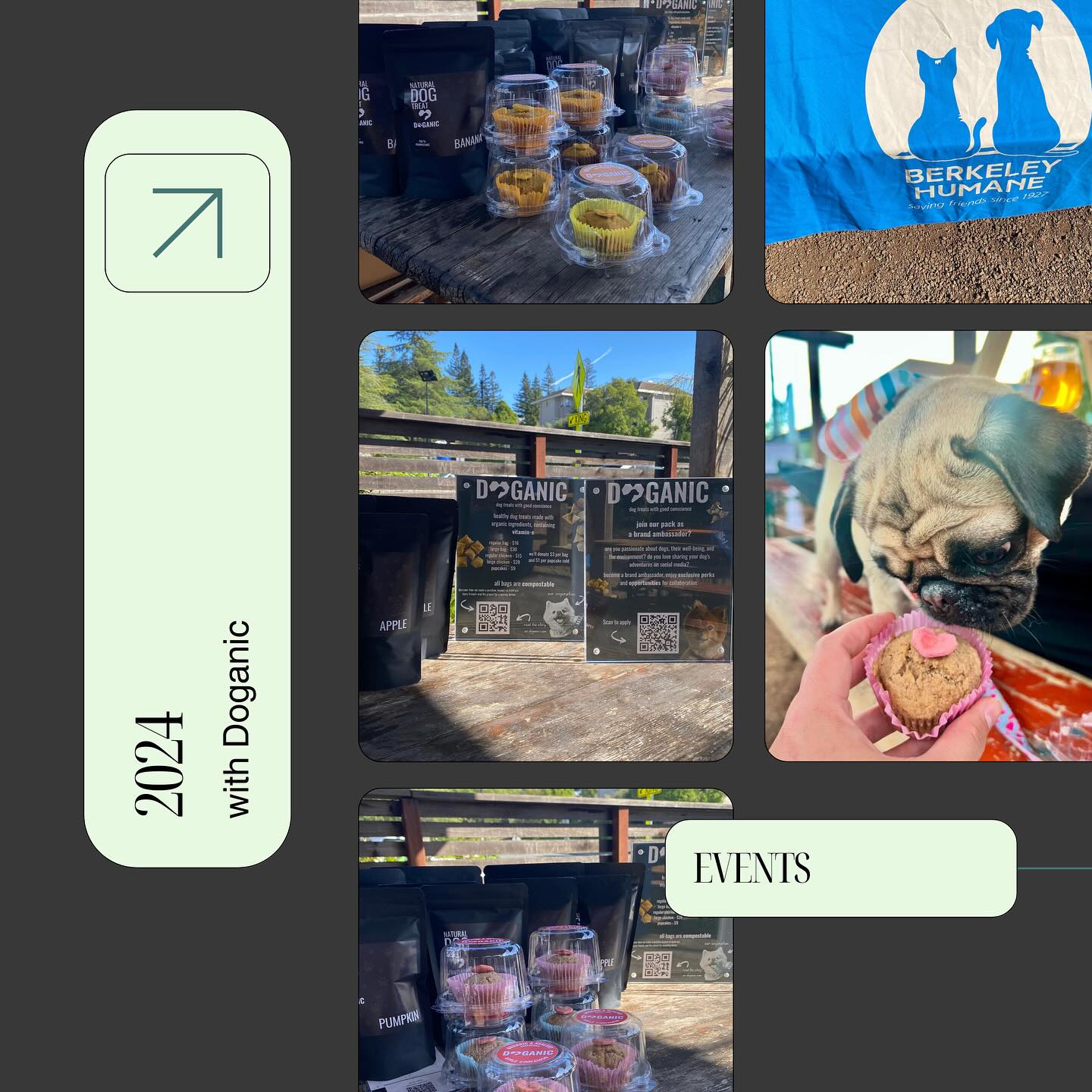 2024 in pictures ๐ถ
Another year of sustainable and healthy dog treats made with organic oat flour ๐
Healthy dog, planet, home