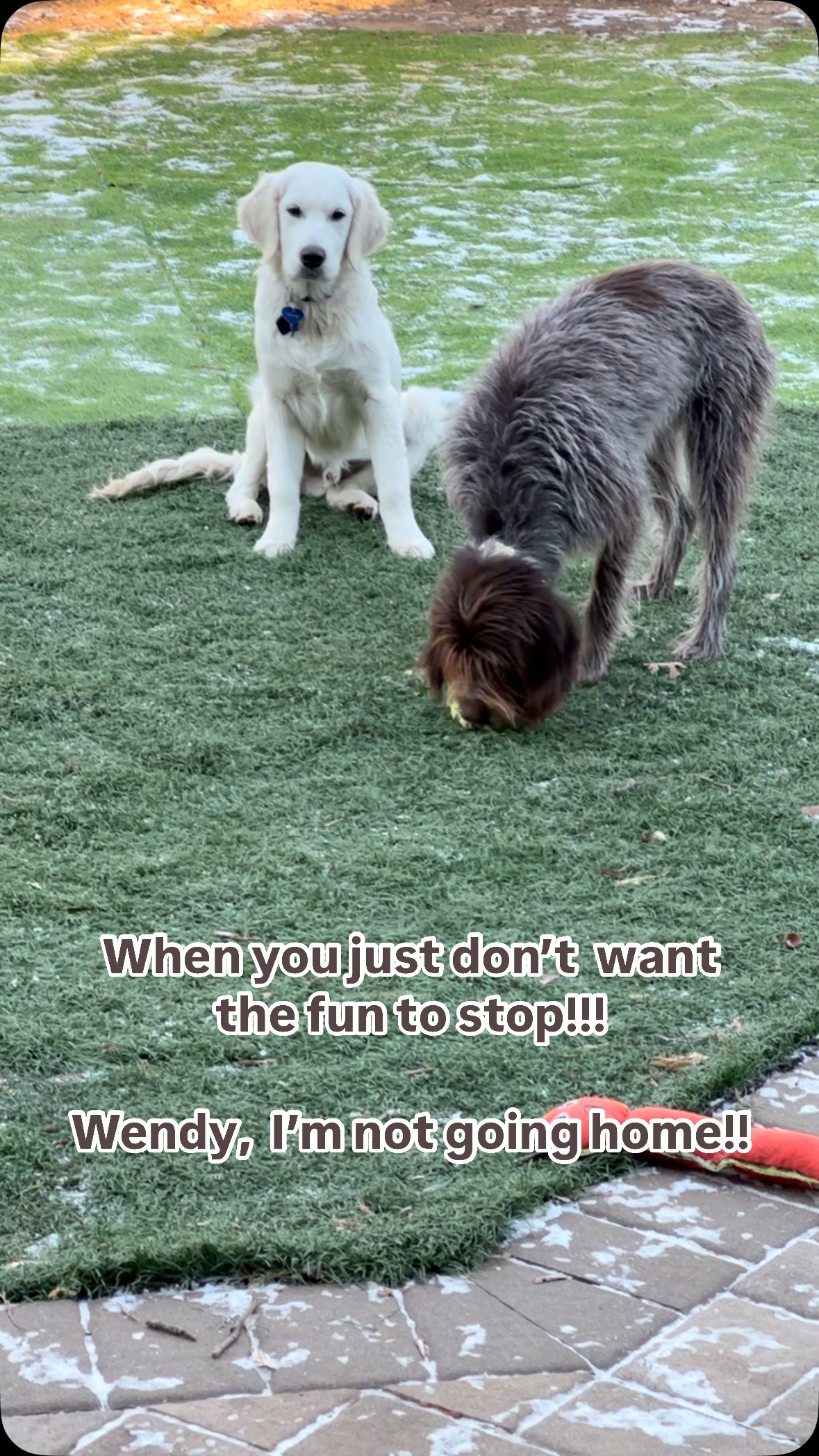 I’m not going home yet!!!!!