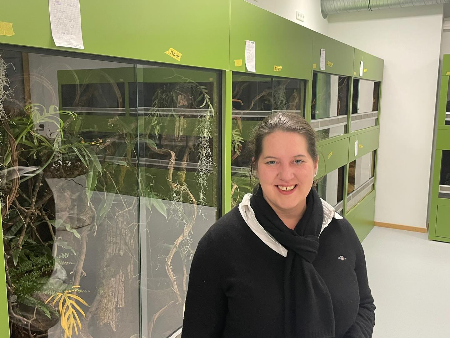 Ortstermin im Westen - Heute hatten wir, zusammen mit @dressel.andreas, die Gelegenheit das neue ÖKOtarium (ehemals das Zentrum für Schulbiologie und Umwelterziehung) am Hemmingstedter Weg zu besichtigen, denn hier entstehen wunderbare Möglichkeiten und Lernräume für Hamburgs Schülerinnen und Schüler. Ausprobieren und Experimentieren, Erfahren und Gestalten stehen im Vordergrund, ebenso wie Nachhaltigkeit und Umweltschutz. Vielen Dank an alle Beteiligten für den Austausch und die spannenden Einblicke.