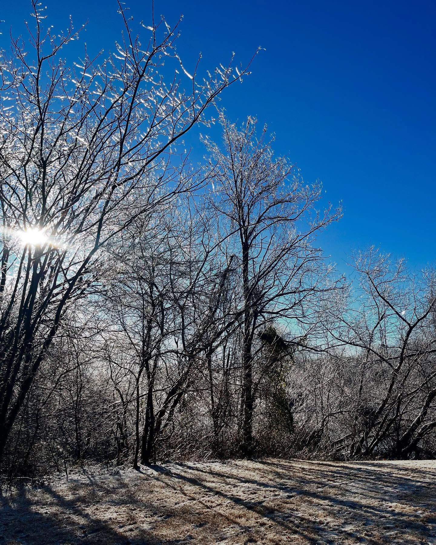 There wasn’t much snow but our morning ice walk was the perfect start to the day #yeahthatgreenville #swamprabbittrail