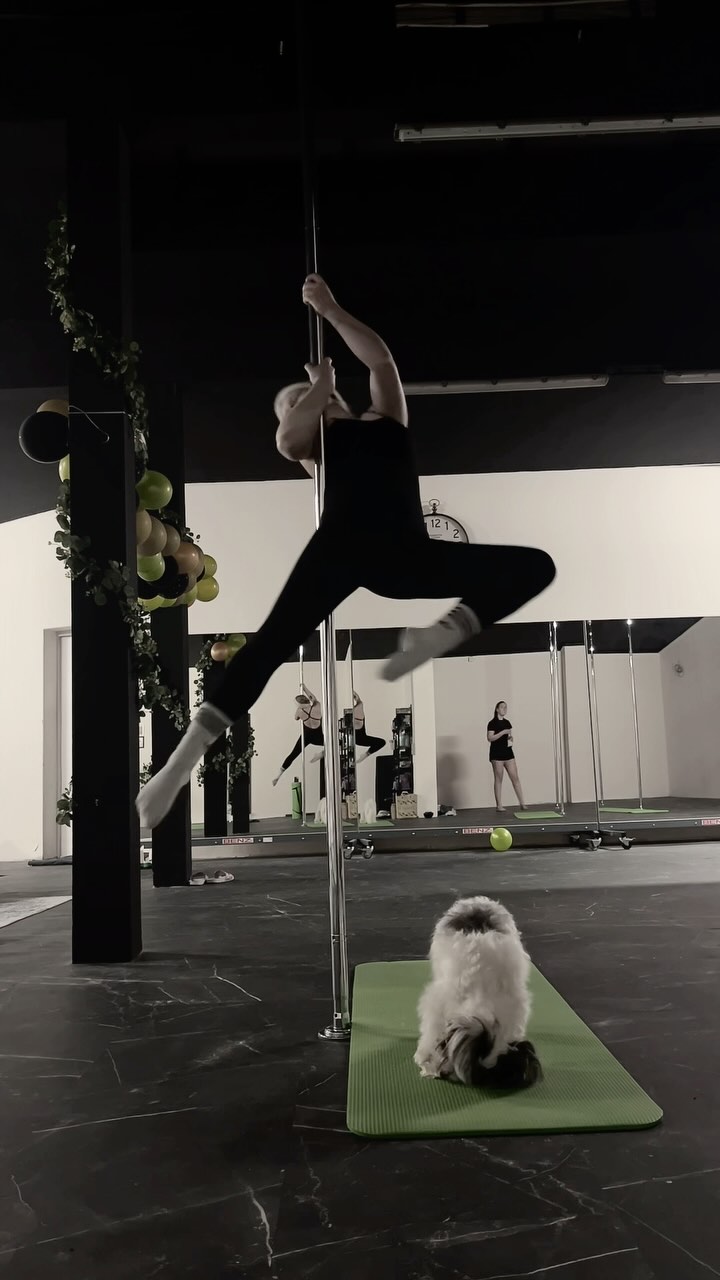 Kleine Inspiration für unsere at Home Polerinas 💚 viel Spaß beim nachmachen
#poledance #pdbeginnercombo #pddragonfly #pdjulietspin #pdairwalks #woman #strong #fitness