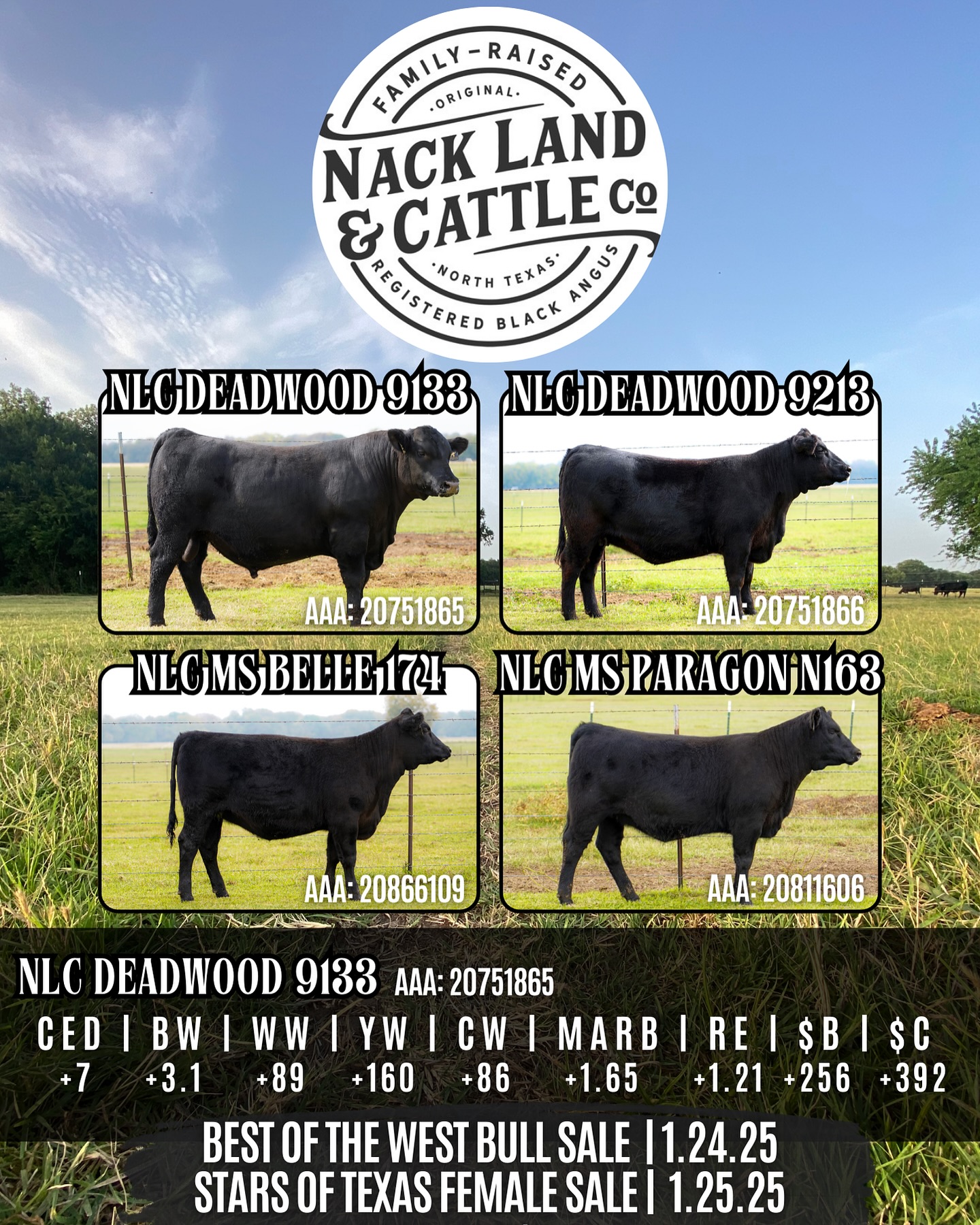 We’re honored to have been selected again for the Texas Angus bull and female sale in conjunction with the Fort Worth Stock Show and Rodeo this year! Join us for a great selection of top-quality registered Angus cattle ready to make a lasting impression on your herd. This is a weekend you won’t want to miss!
We are especially excited to introduce NLC Deadwood 9133 (AAA 20751865), our standout bull that will be making his debut at the Best of the West Bull Sale this year. Come see him in person and learn why he’s in the top of his breed.