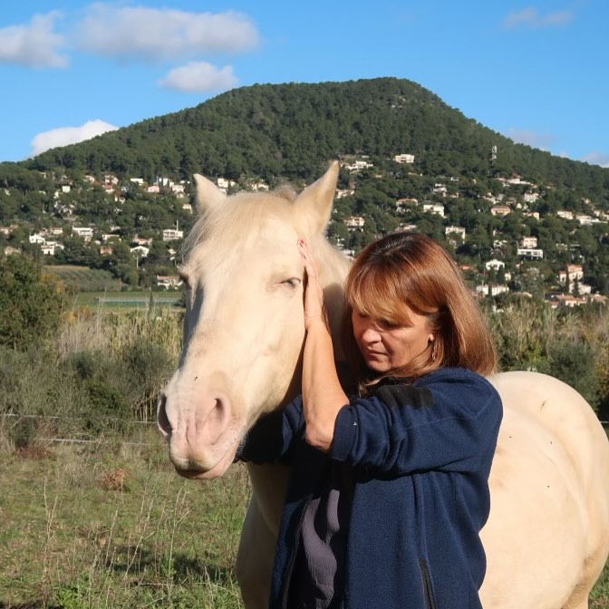 C’est parti ! 🐴🐶😸
Visite à votre domicile sur Carqueiranne et ses environs.
Du lundi au vendredi de 9h à 18h.
Une question ? Appelez moi !
Plus de précisions sur le site internet vetosteo83.fr