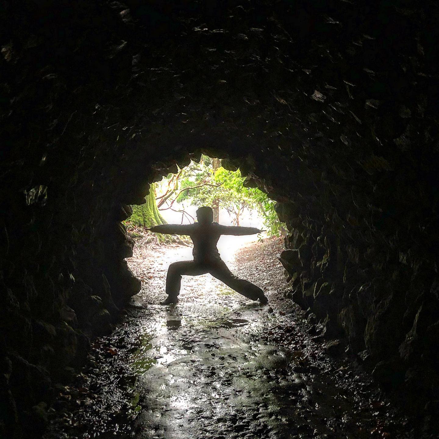 January, time to take stock and refresh ready for the year ahead.
January refresh extended class 26th January
2hrs of vinyasa, yin and mindful meditation with super greens powder and bottles to take home 😇.
Message to save your space.
.
.
#plymflowyoga #yoga #yogapractice #flowyoga #vinyasa #vinyasaflow #yogaclass #plymstock #plymouth #yealmpton #yealmptoncommunitycentre #brixtondevon #southhams #devon #january #newyearrefresh #refresh #detox