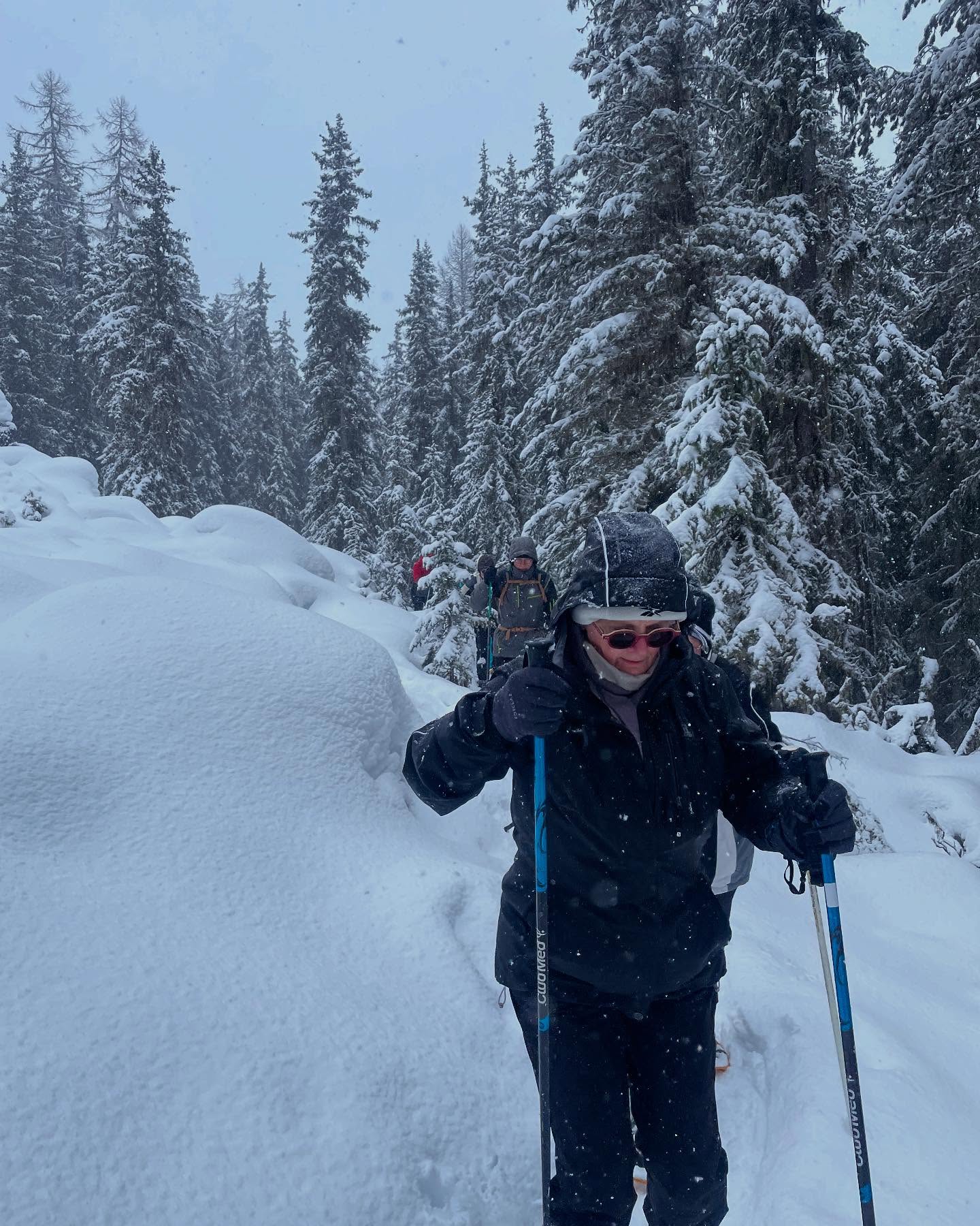 Neige ❄️ et forêt, les conditions de rêve pour une immersion raquettes!!
@la_plagne #raquettes #snoshoeing