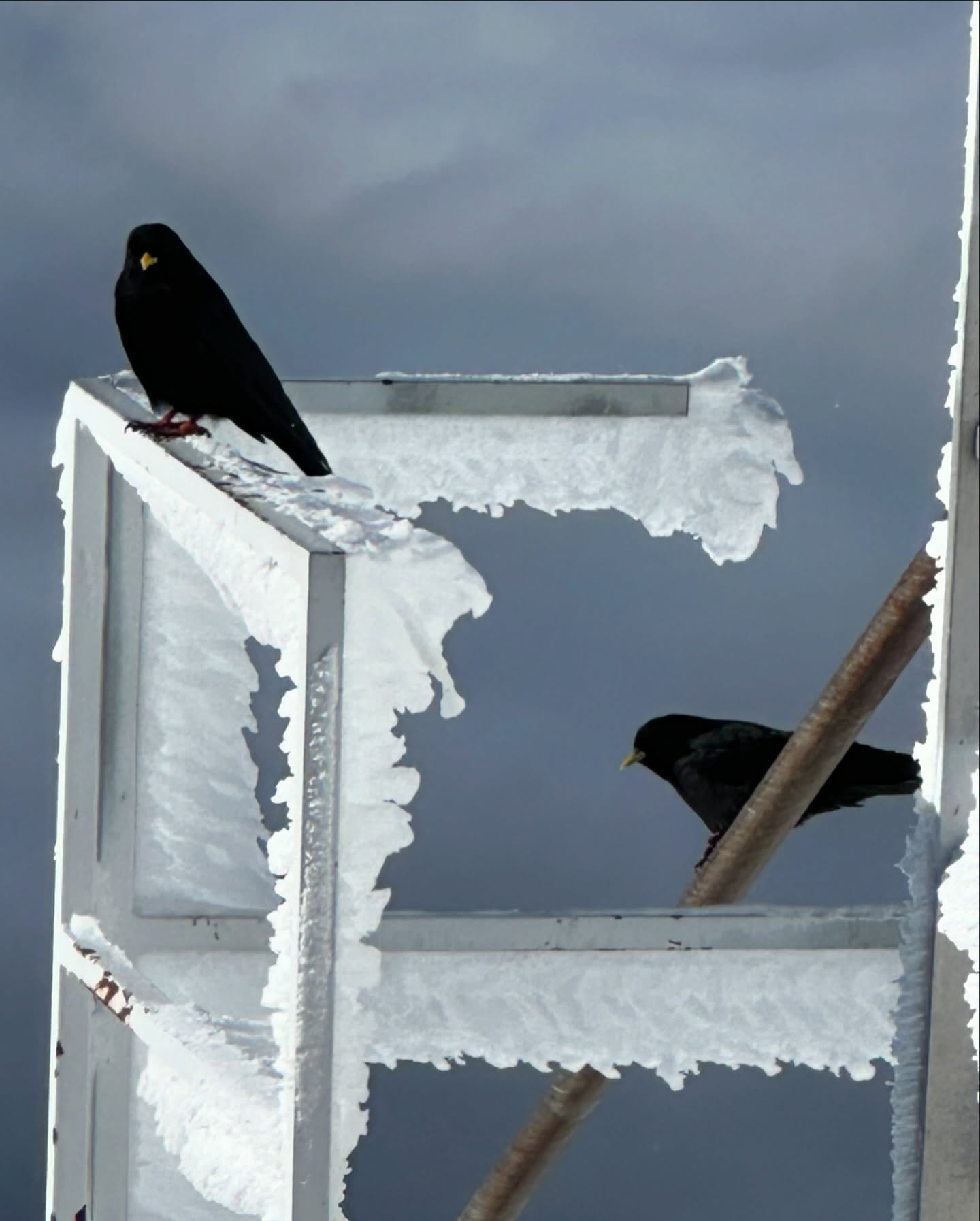 One of these days in the Alps.
@henaff_off @fjordalp @quiksilver.snow
#snowboarding #snowboard #snow #board #alps #wintersession #chamonix