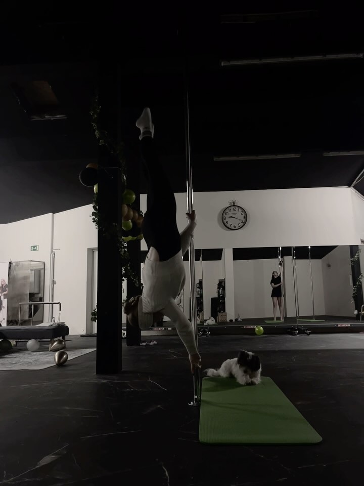 Outside Leghang to Handspring 💚
#poledance #pdhandspringayesha #pdhandstandvariation #pdinvertpencil #pdcombo #woman #sports #strong