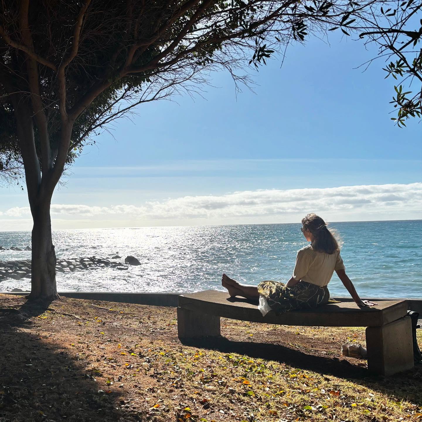 Earth, water, wind, sun and space.