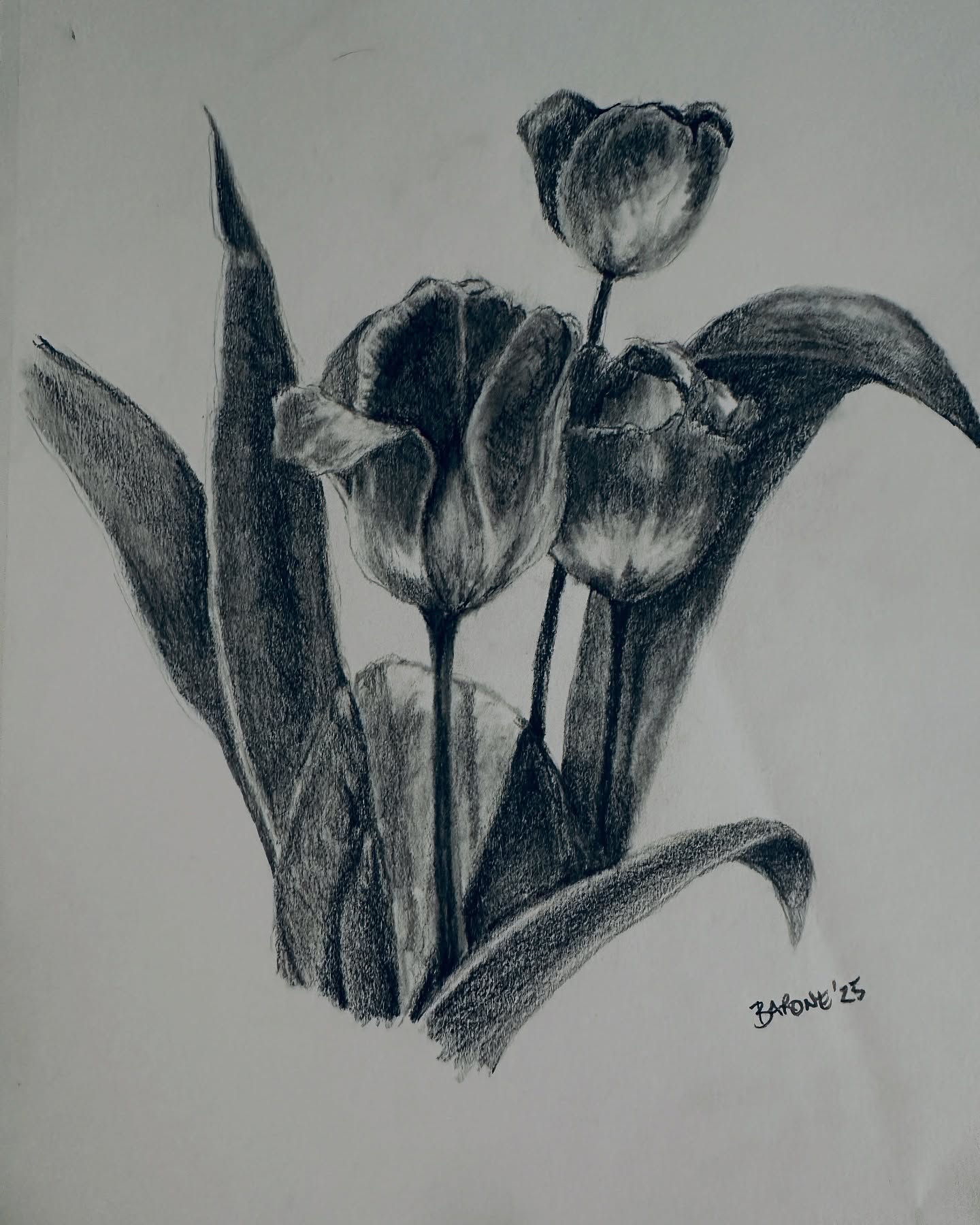 « Yearning for Spring »
9x12
pencil on paper
#sketchaday #pencilonpaper #graphitedrawing #staedlermarslumograph #opusartsupplies #valuestudy #practicemakesprogress #draweveryday #vancityartist #vancityart #whiterockart #whiterockartist #sswrasartists #carolynbaroneartist #supportlocalartists
