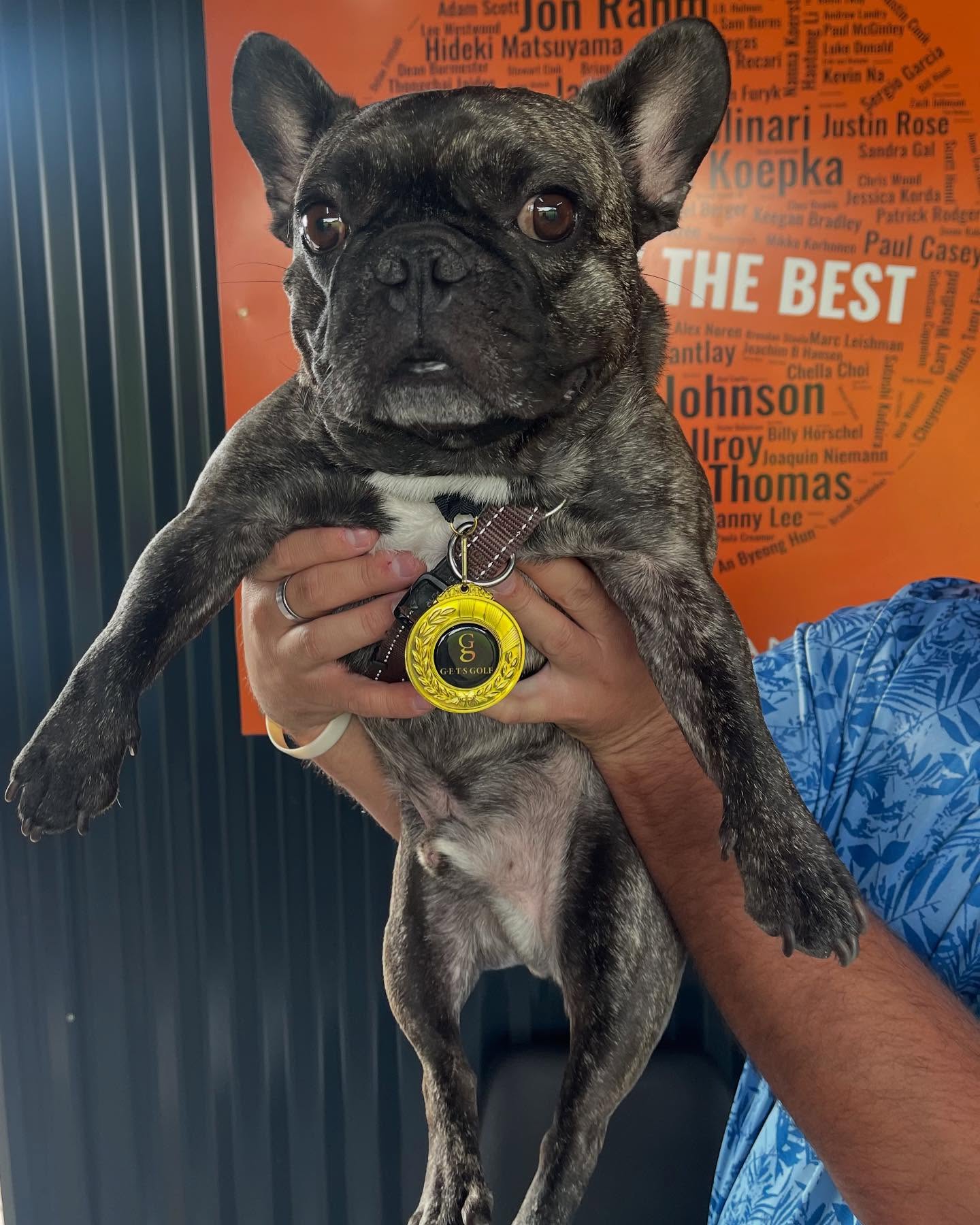 Meet Ted, our GETS Golf mascot……