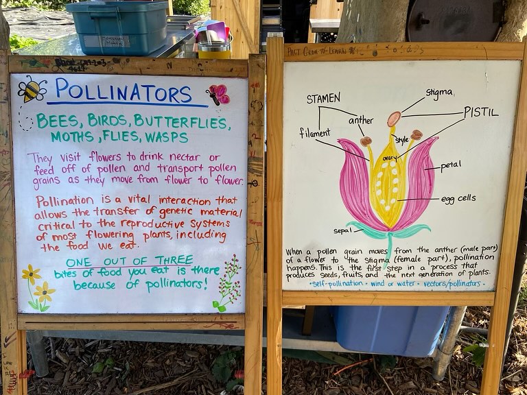 Every child deserves a quality education. 📚 Our curriculum-linked workshops provide experiential learning opportunities for students in Toronto. Let’s shape the future together! #PACTEducation #ExperientialLearning