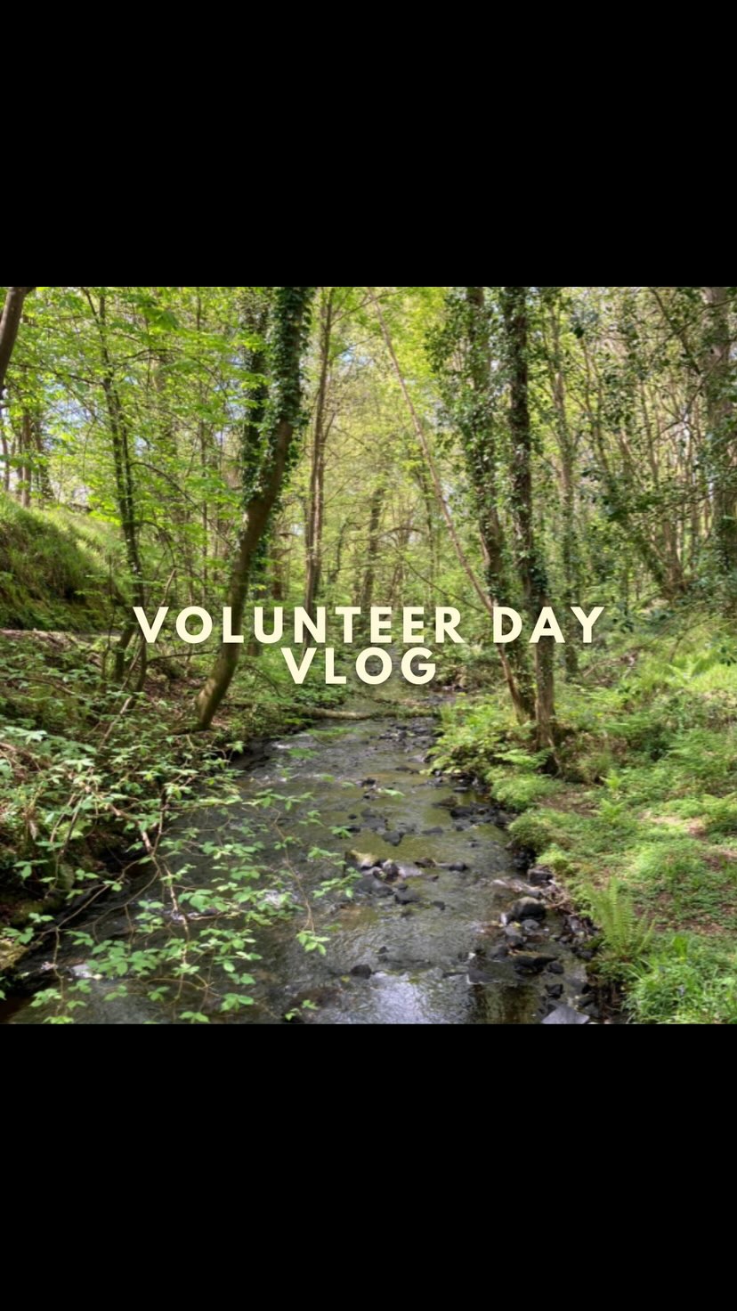 A day in the life of RBRA Tree Planting Day - we followed the volunteers and RBRA members for a day of tree planting! 🌳
See the full video here! 👍🏼
Would you have any interest in volunteering at the next RBRA Tree Planting day? Answer in the poll or comment below! #ballymacravenriver #ennistymon #restoration #nature #biodiversity #rbra
