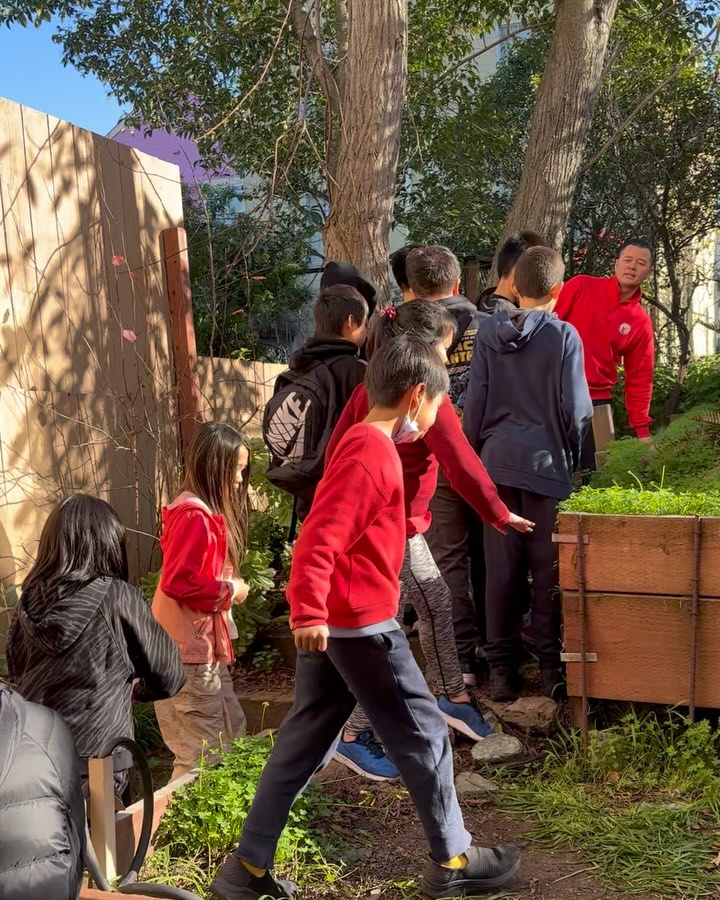 Gardening Class! We are lucky to have a big garden, and we have plans for growing vegetables this year. But the first step is to cleanup and weed. We’ll use what we learned at the @ffcommunityfarm and implement it in our BHA garden.
#chinese #chineseimmersion #chineseimmersionschool #chineseimmersionprogram #sanfrancisco #sanfranciscoschools #privateschool #privateschools #privateschoolssf #urbanfarming #urbanfarm #urbanfarmers