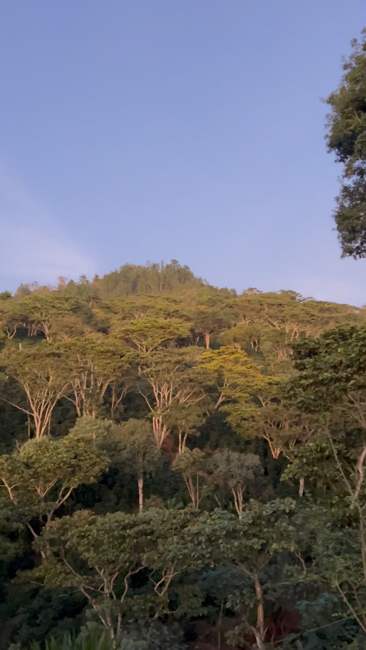 The end of the day🍒✨#dawn