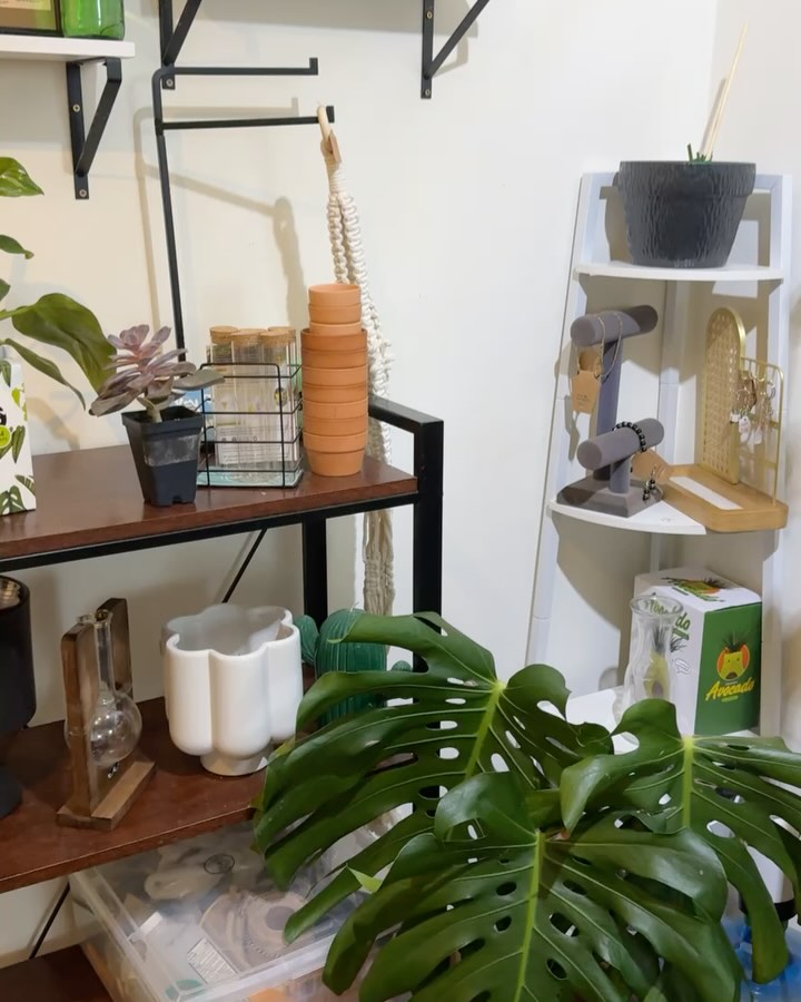 Everything is for sale #plantlife #plantlover