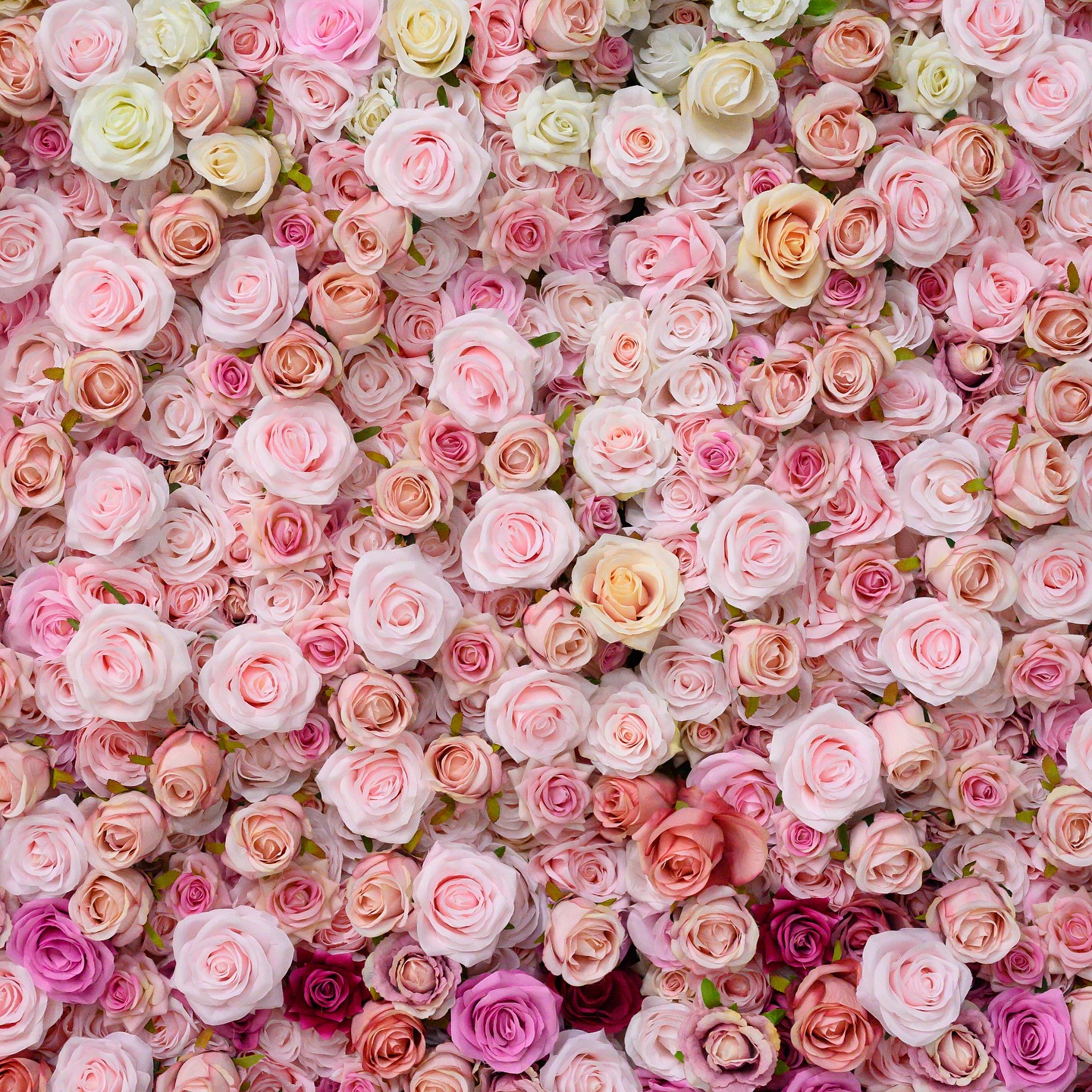 We also wear Pink on Tuesdays! ๐๐ธ๐โจ