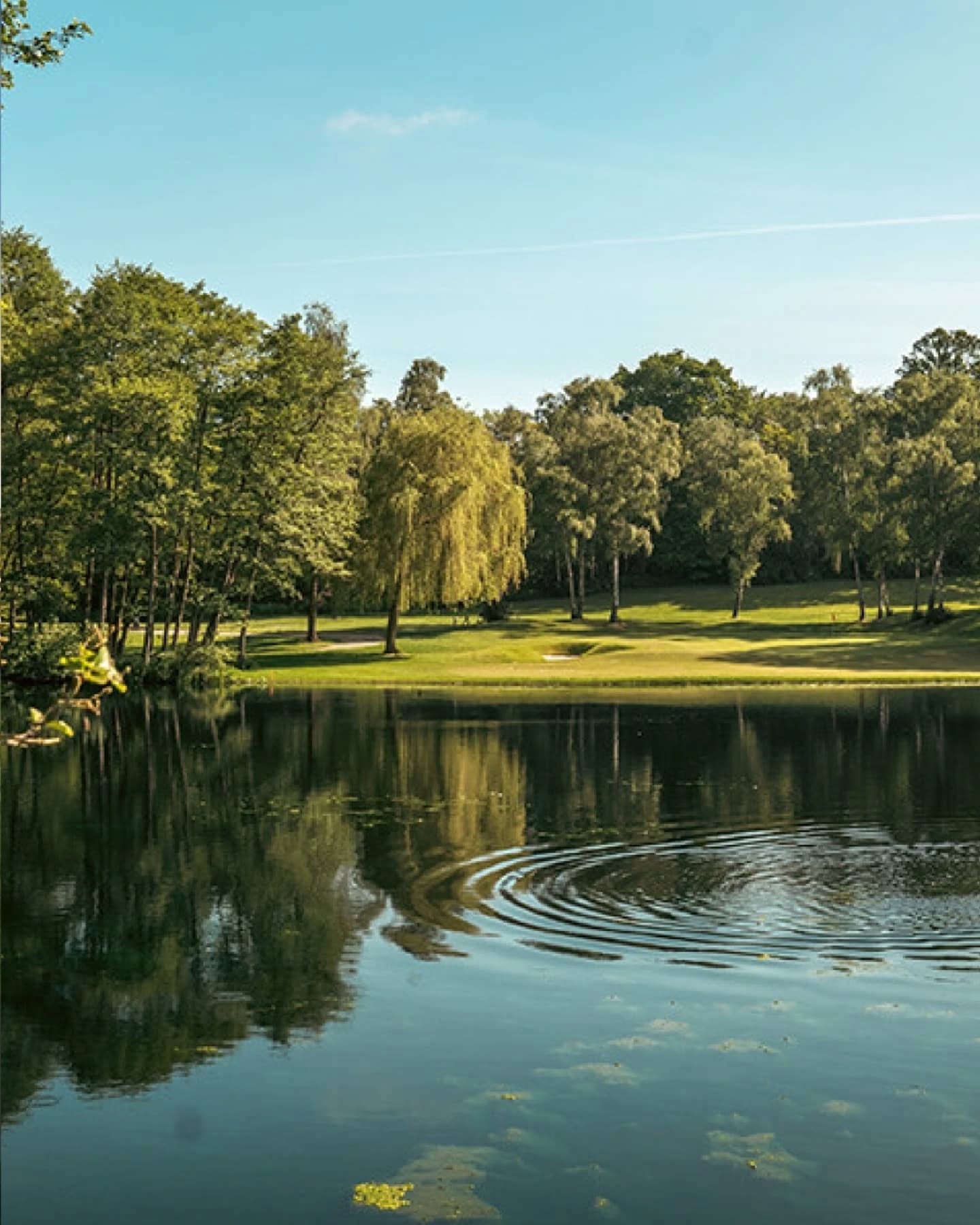 First up on the LFG Tour 2025 Calendar 🗓️
The Open at @silvermeregolf
29th March 2025
Nestled just inside the M25, this fantastic 6008 yard, Par 71 course offers great challenges to golfers of all levels. Combining beautiful scenery with great course features, there's plenty of options to get in to trouble and just as many possibilities to feel like your tour card is on its way.
#LFGTour #LFG #LFGTourTheOpen #silvermeregolfclub
#Golf