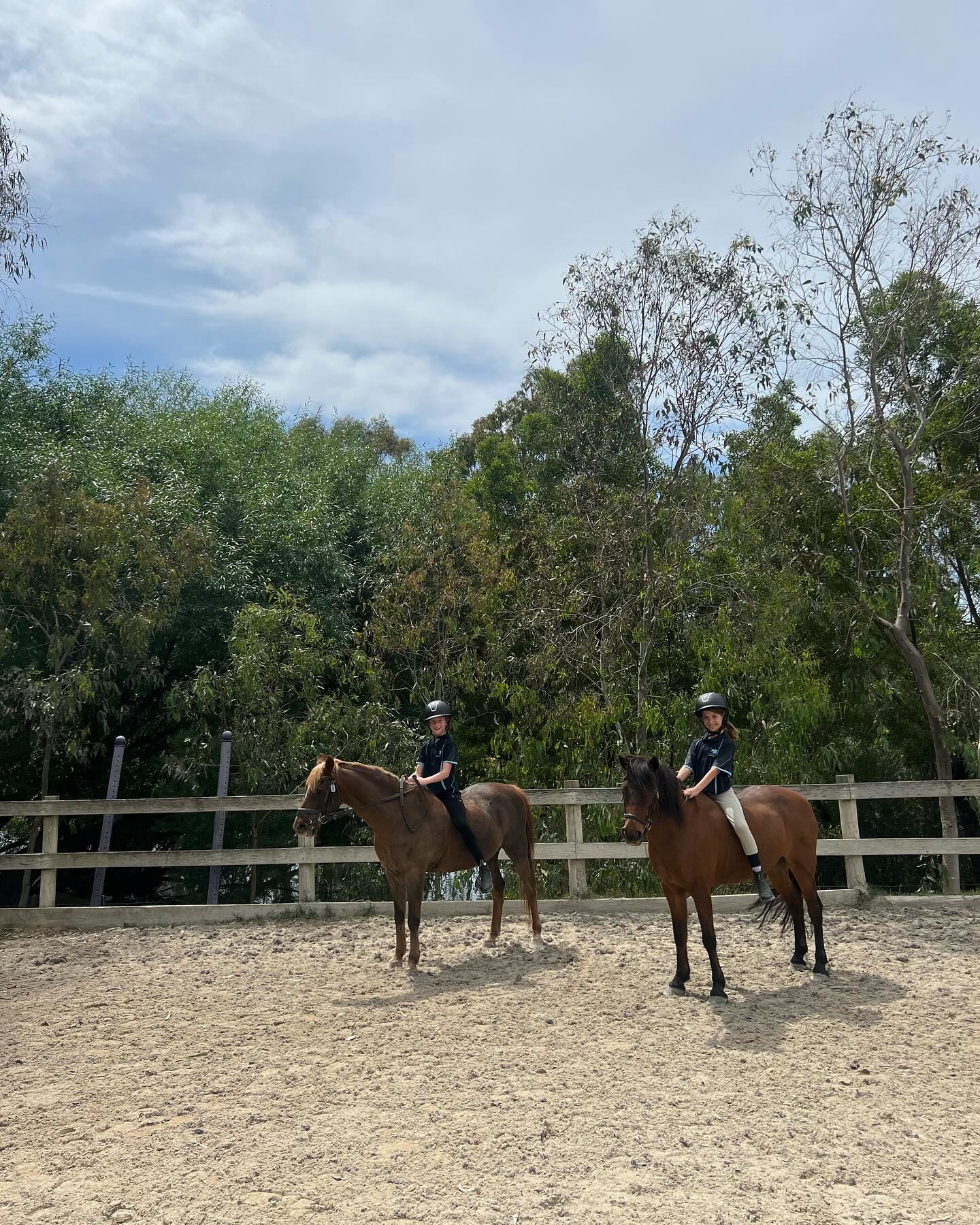SCHOOL HOLIDAY LESSONS AND PROGRAMS!!
Daily availability for casual private, semi-private or group lessons and kids full day holiday programs.
Morning and afternoon lesson times available.
Holiday programs running 9am-3pm midweek, no prior riding experience required!
Bookings online, via email or call our office today 🐴✨
#horses #schoolholidays #horseriding #fun #riding #outdoors #ponies #program