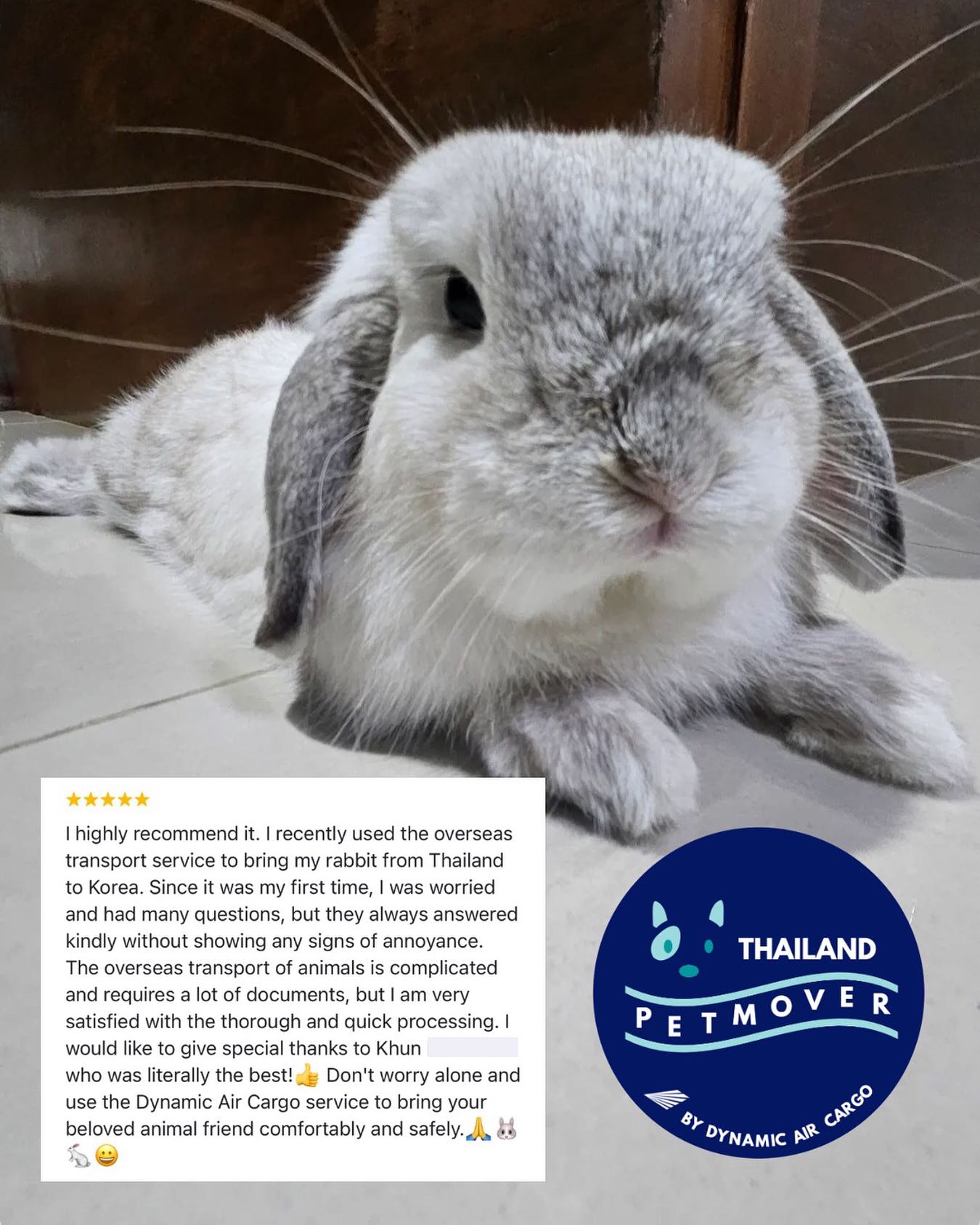 🇹🇭 🛫 🇰🇷
Thank you so much for your kind feedback on your experience with us 🥰 It has been a pleasure to assist!
——————————————————
🐶 Thailand Pet Mover
🐱 Where Pet Lover Meets Pet Mover
🐰 Inquire via LINE: @thailandpetmover
🐯 Or Email: service@dynamicaircargo.com
🐹 Our DMs are not monitored
🐷 A trade mark service managed by Dynamic Air Cargo, a member of IPATA and IATA.
——————————————————
Please make sure you contact direct to our customer service team
#bangkok #traveller #importer #exporters #animals #thailandpetmover #petrelocationservices #petrelocation
#animallovers #pet #petmoverthailand #petshipping #dynamicaircargo #thailandpetrelocation #petrelocationthailand
#worldwideshipping #petmover #petlover #cats #doglover #ขนส่งสัตว์เลี้ยงไปต่างประเทศ #หมา #แมว #ขนส่งสัตว์เลี้ยง #doglovers #dogs #pets #petboarding