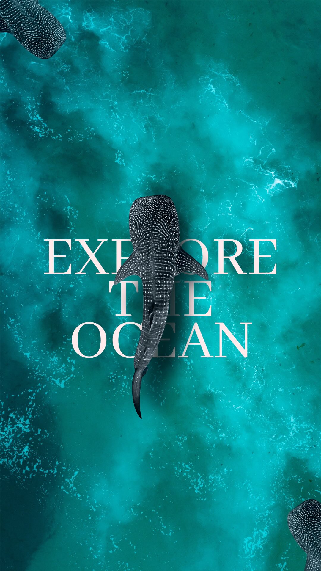 Dive into a world where crystal-clear waters reveal vibrant coral gardens and schools of tropical fish gliding effortlessly by. Explore the depths of the Indian Ocean, where encounters with graceful manta rays and curious sea turtles create unforgettable memories. This underwater paradise is a hidden gem for divers and snorkelers alike, offering a unique chance to connect with nature in its purest form. 🌊🐠🐢 #UnderwaterAdventure #DiveIntoParadise #CoralReefs #TurtleEncounters #MantaRayMagic #SnorkelLife #OceanExplorer #TropicalWaters #MarineLife #HiddenParadise #EcoTravel