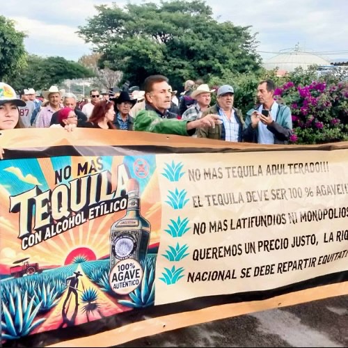 Tequila’s most underrepresented voices are speaking up loud and clear. It’s curious how you won’t see it in mainstream media - or is it?
Repost from @mezcalistas
•
Our happy Mezcal Monday story is actually a story about tequila. It could have huge reverberations not only for tequila, but also for all agave spirits.
Last week, agaveros gathered in Tequila to protest alleged dirty deals, abusive tactics, and serious corruption in the tequila industry. These are not new allegations as the Mexican Agave Council had previously asked the Mexican government to look into the problems the farmers were seeing but these are by far and away the most public accusations and protests in years.
While the plummeting price of agave, which is now running about 1-2 pesos per kilo, is a primary concern for the farmers, they also allege other practices like increasing adulteration of product they feel are endangering the very integrity of the spirit itself. Contributor Felisa Rogers was on the ground and had a chance to speak with leaders of the council and farmers. She also provides great background and context for how this moment arrived.
Link in bio to featured story or here: https://www.mezcalistas.com/tequila-industry-corruption/
Pictured above:
➡ Agaveros marching in Tequila
➡ Julián Rodríguez Parra, president of the Mexican Agave Council, addressing the crowd.
#tequila #agaveros #adulteration #tequilaprotest #mezcalmonday