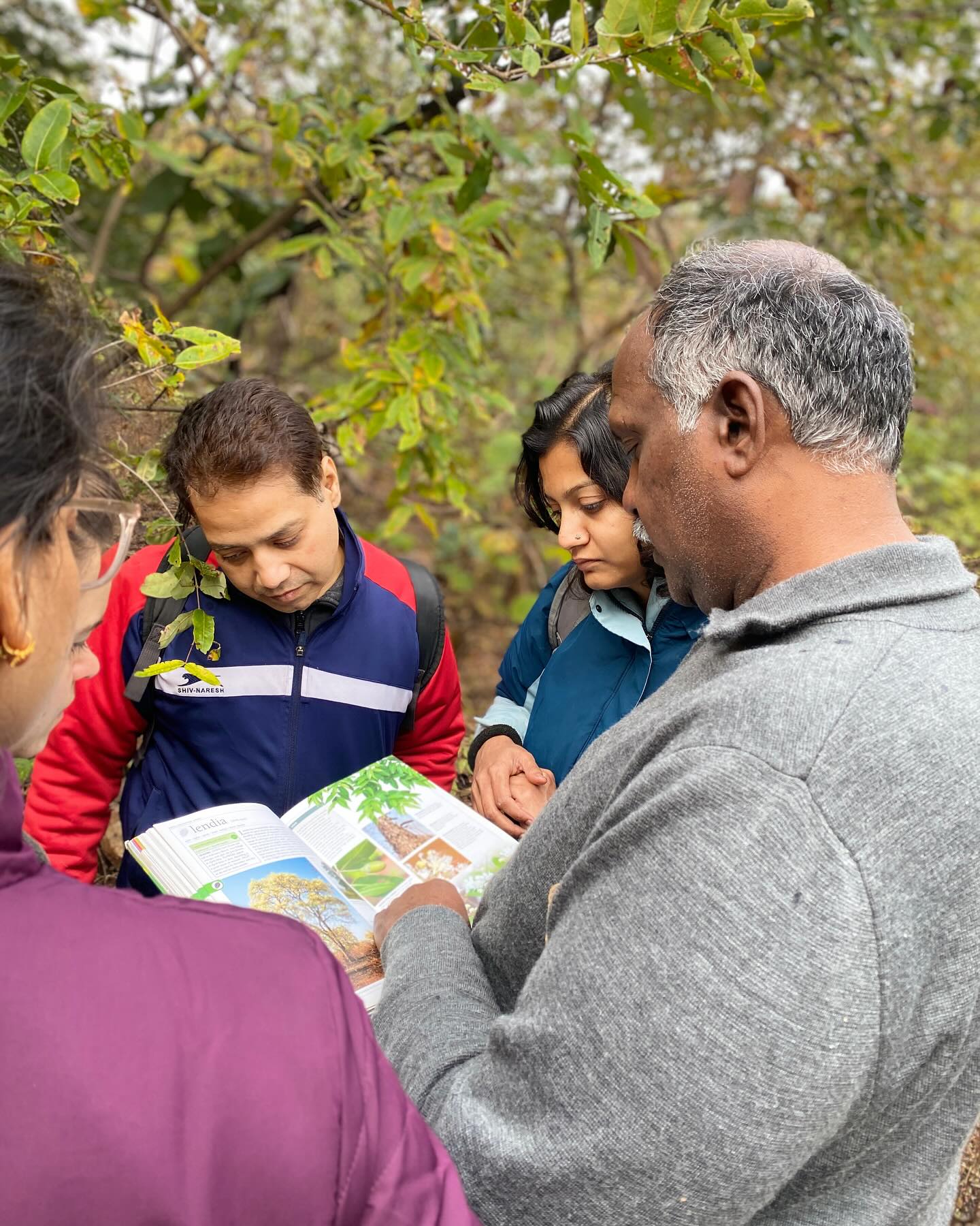 Nature walks & tree talks! A peek into our Bio Happiness Camp 2024 🌿
1. When everyone turns into a passionate botanist - the book in hand: “The Jungle Trees of Central India” 🌳
2. Foggy morning forest walks hit different!
3. DIY Poha scenes - because real wellness starts in the kitchen!
4. Games that made us forget we’re “supposed to be serious adults”.
5. Meet ‘Hi’(a name he gave to himself) - casually enjoying high up on our beloved Gulmohar 🌺
6. Lunch! 🍀
7. After a successful walk ✨
8. And finally the last picture of 2024 with the hosts!
#BiohappinessCamp #MoodForest #WellnessRetreat #Natureliving #HealthyLiving #NewYear2025