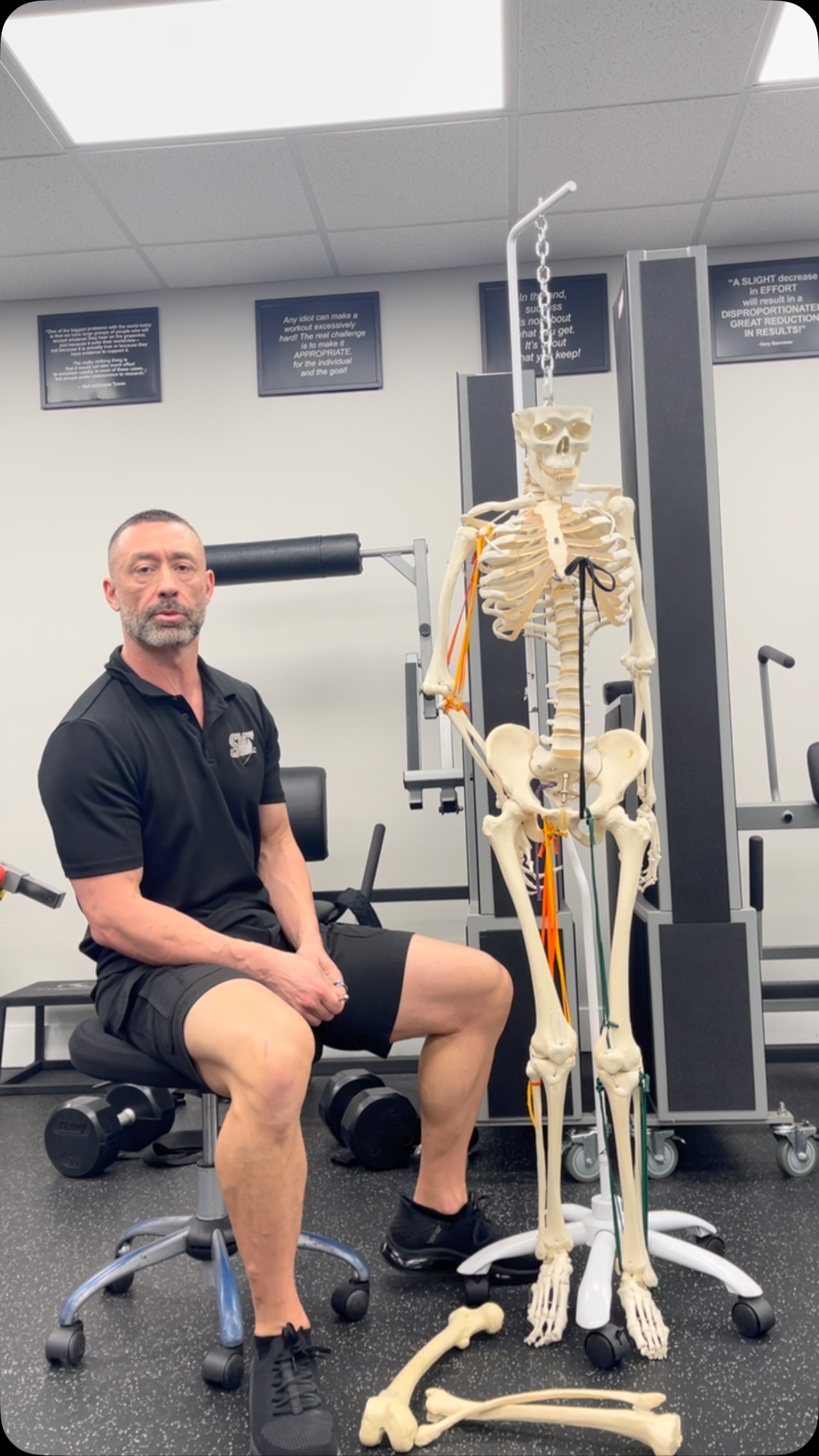 Do your toes have to be aligned with your knee? ##SVZperformance #ExperienceTheDifference #internalfocus #internalperformance #sustainableexercise #exercisemechanics #personaltraining #personaltrainer #fitness #workouts #muscle #customfitexercise #exercise #resistancetraining #supportsmallbusiness #strengthtraining #daviefl #plantationfl #sunrisefl #westonfl #coopercityfl
#legcurl #kneealignment #jointalignment