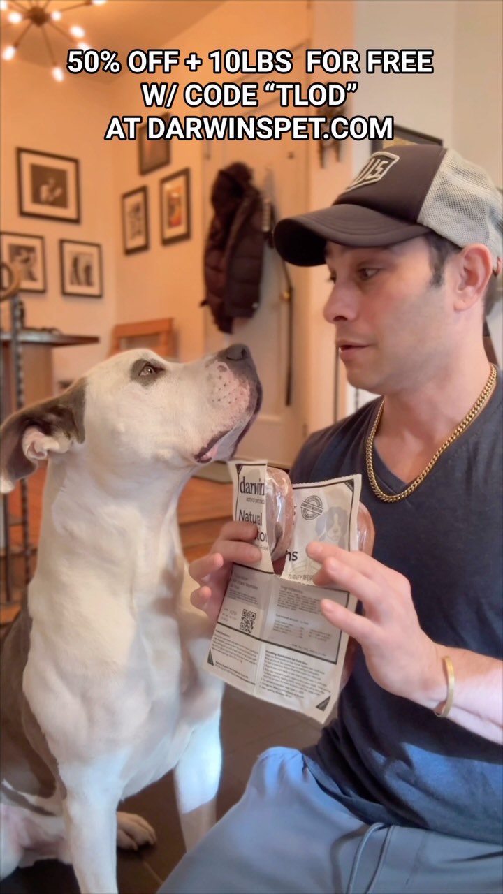 @darwinspetfood is my favorite petfood. They offer beef, turkey, chicken, duck. If you need help with feeding instructions, don’t hesitate to DM me.
#dogs #dogfood #catfood #cats