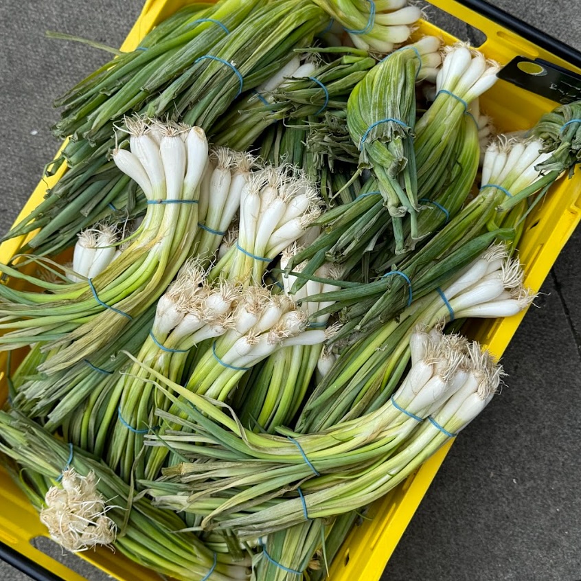 Spring onions are the ultimate kitchen heroes! Finely chop them to sprinkle over salads and stir-fries, or grill them whole for a sweet, smoky side dish.