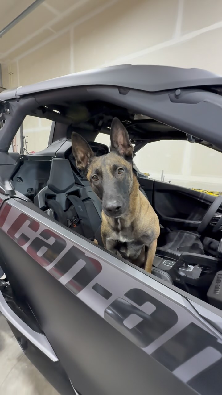 We skipped the weekend and Max is ready for some R&R… (racing & ruffhousing).