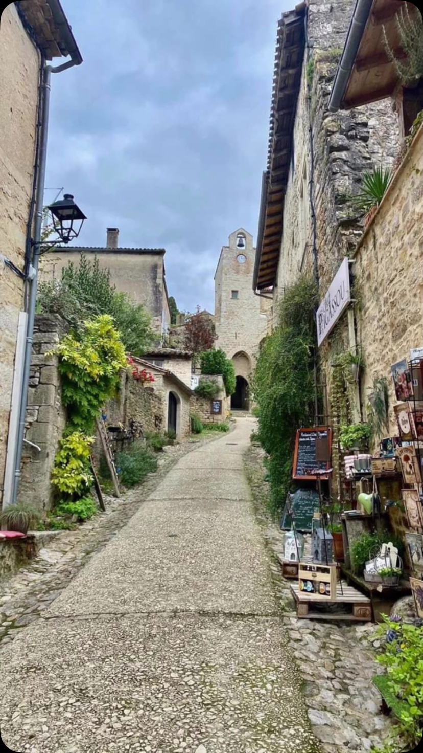 A year on tour 2024 octobre