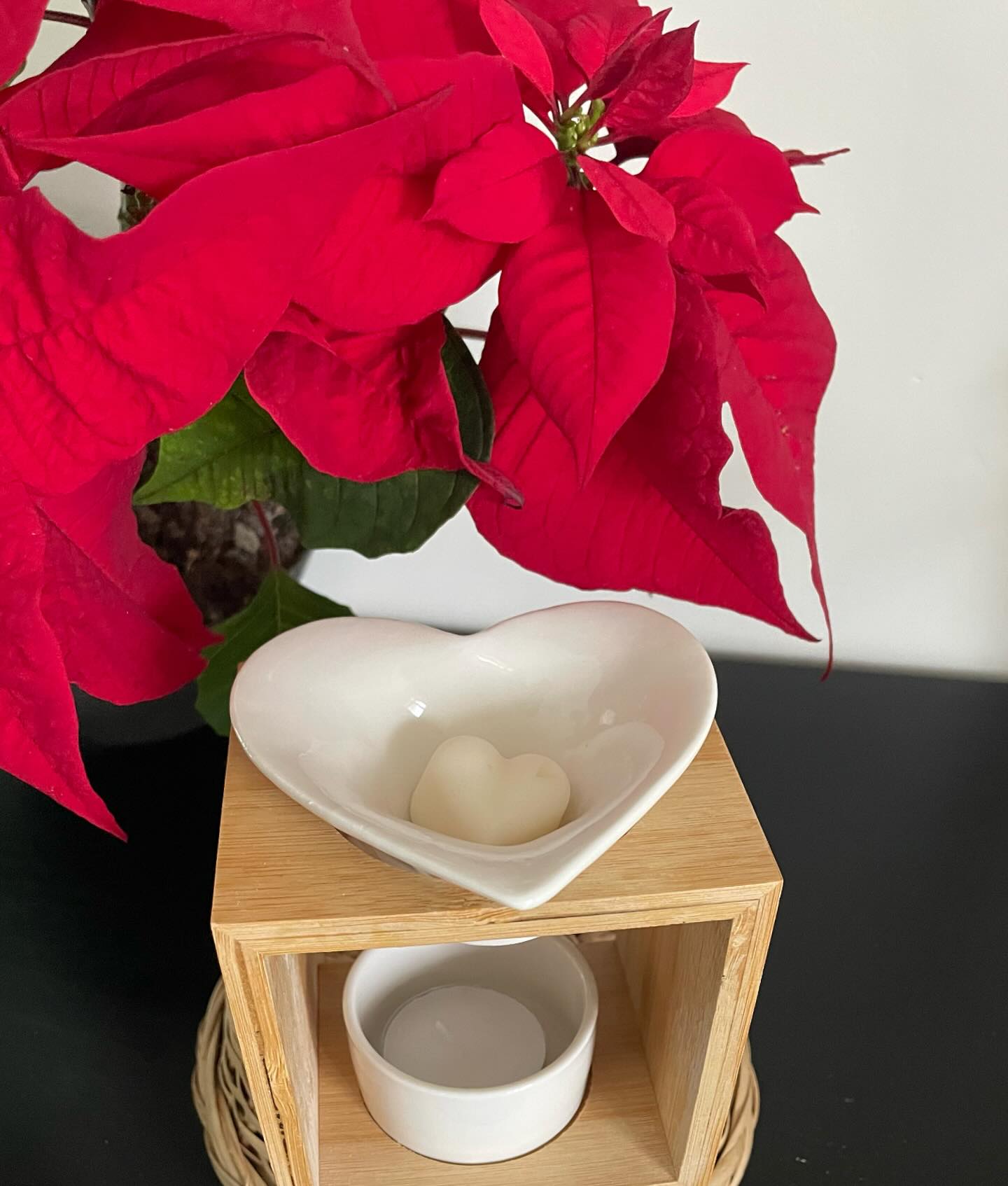 Un cadeau pour célébrer votre amour ?
Retrouvez le coffret « Je parfume mon intérieur » avec le brûle-parfum Arum, symbole de l’amour, de la pureté et de la sincérité, et les fondants monoï ❤️
-❤️-❤️-❤️-❤️-❤️
Fabrication artisanale, cire végétale et parfum garanti sans CMR ni phtalates.
À retrouver sur le shop et en click&collect
#saintvalentin #stvalentin #ideecadeau #bruleparfum #arum #fondantparfumé #monoï