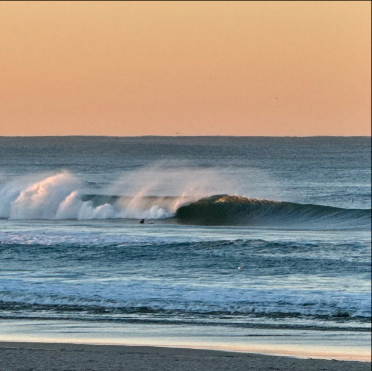 Nothing beats a dawn patrol at the home break with good sand bars! Race track conditions with a pair of midsize sleds: 7’3 Manila’s big fish trifin and a 7’6 JH panacea egg 2+1. Happy Fryeday!
#surfboardclub #surfclub #surfingwithfriendsisbetter #surfingwithfriends #surfboard #surfboards #eggsurfboard #fishsimmons #joshhallsurfboards #surfeurope #surfportugal #surfporto #surffin #surffins #surfboardfins #101fins #bamboofins #finjaktoolfree #finjakeu #finjakuk #surfacessories