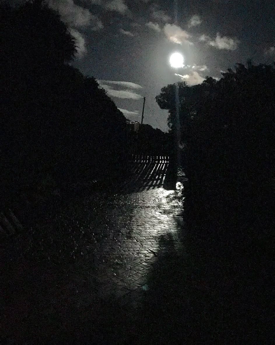 A moment as the hailstones thawed and reflected the moonlight. I love having time to notice the moments… 😊