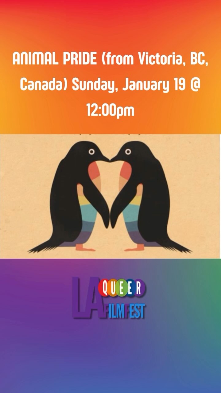 Posted @withregram • @lafilmfestivals ANIMAL PRIDE - Feature - (from Victoria, BC, Canada) - Sunday, January 19 @ 12:00pm
In Animal Pride, Nature’s Coming Out Story, a queer naturalist Connel Bradwell challenges mainstream biology’s blindspot for queer animal behaviour in nature. Schooled in the birds and the bees, survival of the fittest, The Origin of Species, Connel sees the disconnect - how can humans be queer, while animals supposedly aren’t?
Not your typical wildlife documentary, Animal Pride challenges conventional wildlife assumptions, celebrates diversity, and presents a riotous rebellion against stereotypes. Connel’s irreverent approach takes a wrecking ball to the ivory tower of heteronormative science, demanding answers to why the world has been missing out on the wild, wonderful, and downright sexy side of nature.
The LA Queer Film Festival is just around the corner. Screenings are from Jan. 16 - 19. Tickets and passes are available now.
.
.
.
.
.
.
.
.
#LAQueerFilmFestival #LAFilmFestivals #LGBTQFilms #FilmScreening #IndieFilm #SupportQueerArtists #LosAngelesEvents #theactorscompanyla #lathtr #animalpridedoc @handfuloffilms @mavnetwork @riomitch @connelbradwell @eadrage #cbcdoc
