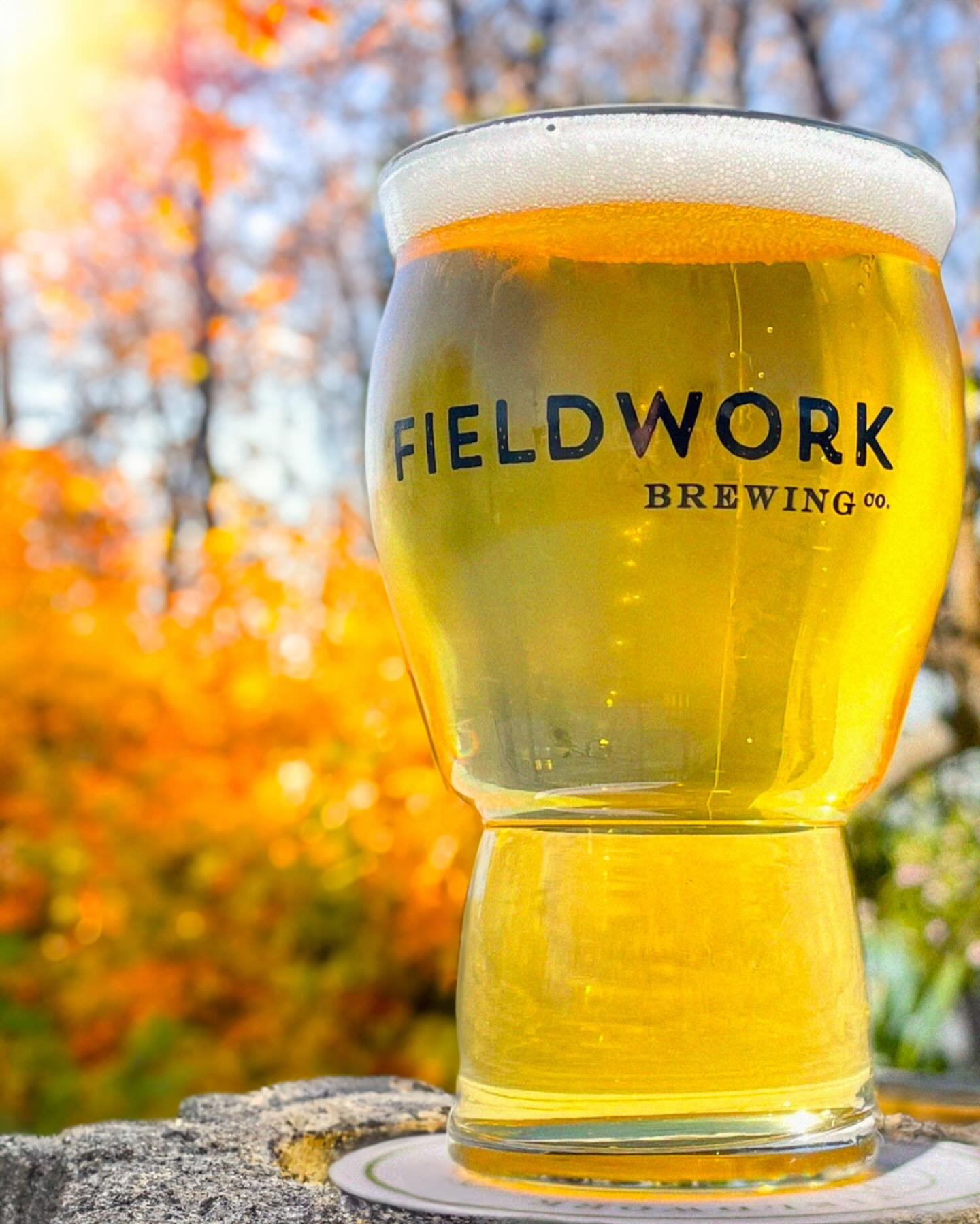 We’ve been working on our six pack! 🍻
Our sixth store for @fieldworkbrewingco is coming soon to Santa Rosa!
#beer #cheers #santarosa #retailwestinc #tenants #beerme #commercialrealestate #fieldworkbrewing