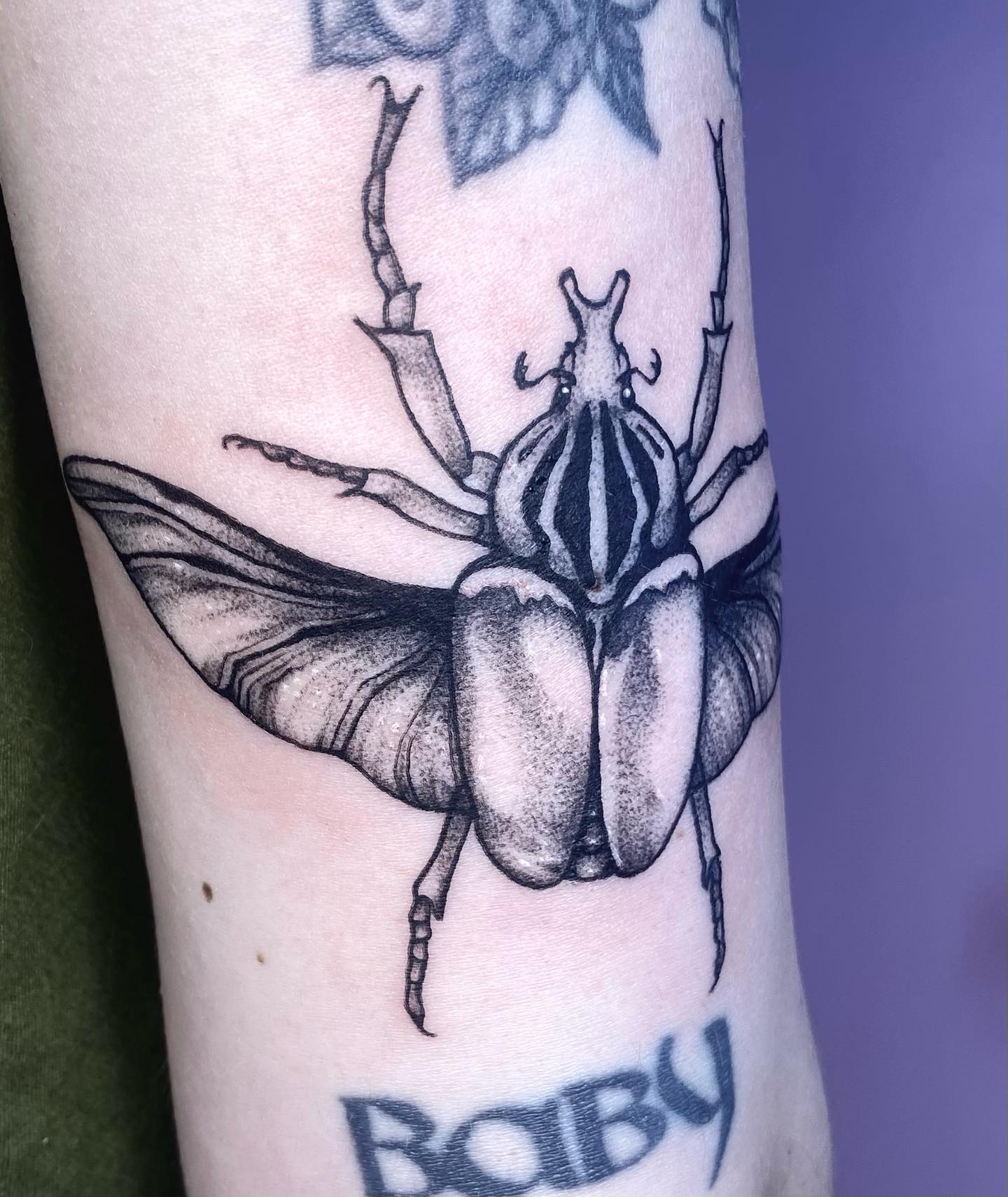 Bring me more beetles 🪲🪲🪲🪲