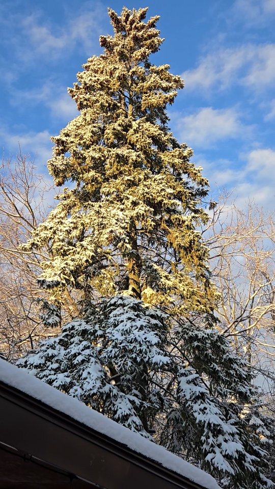 January can bring on some intense feelings.
While society makes us feel that we must take action when a new year begins, I am reminded that nature teaches us that it is okay to begin in stillness, and prioritizing what truly matters: your well-being.
As Marcus Aurelius said, 'You have power over your mind—not outside events. Realize this, and you will find strength.'
Massage therapy isn’t just about easing tension; it’s about reconnecting with your body, quieting the noise, and embracing the present moment. In a world full of chaos, let this be the year you carve out space for stillness, self-care, and resilience.
You can’t pour from an empty cup. So how will you start to fill yours?
#MindBodyConnection #MassageTherapy #StoicWellness #MoveWellBeWell #BellevilleOntario