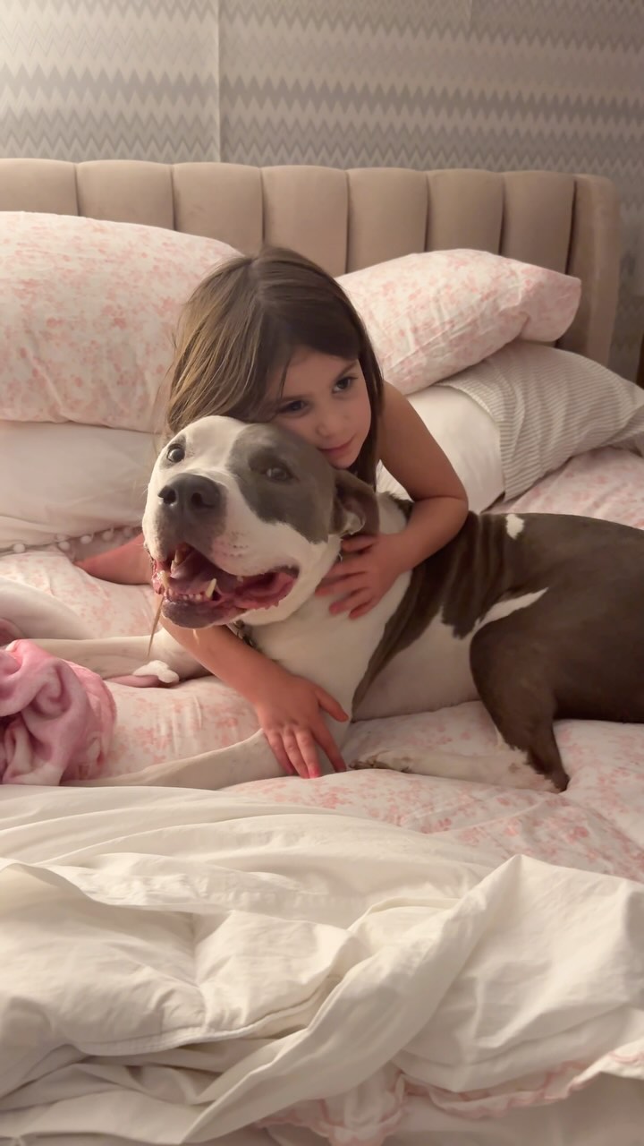 Brutus & mu neice are just…
#dogs #pitbulls #bullybreed #dogmom #dogdad