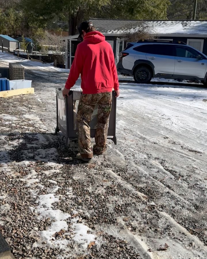 The puppies have made their way to the official foster!! Probably a good thing it was a quick turnaround because one of the spotted babies was about to go “missing.”🐾😉💙 We got news they have several interested families so we wish them the best luck finding awesome, loving, forever homes. Also, beautiful wolf moon over 3B’s last night✨.
