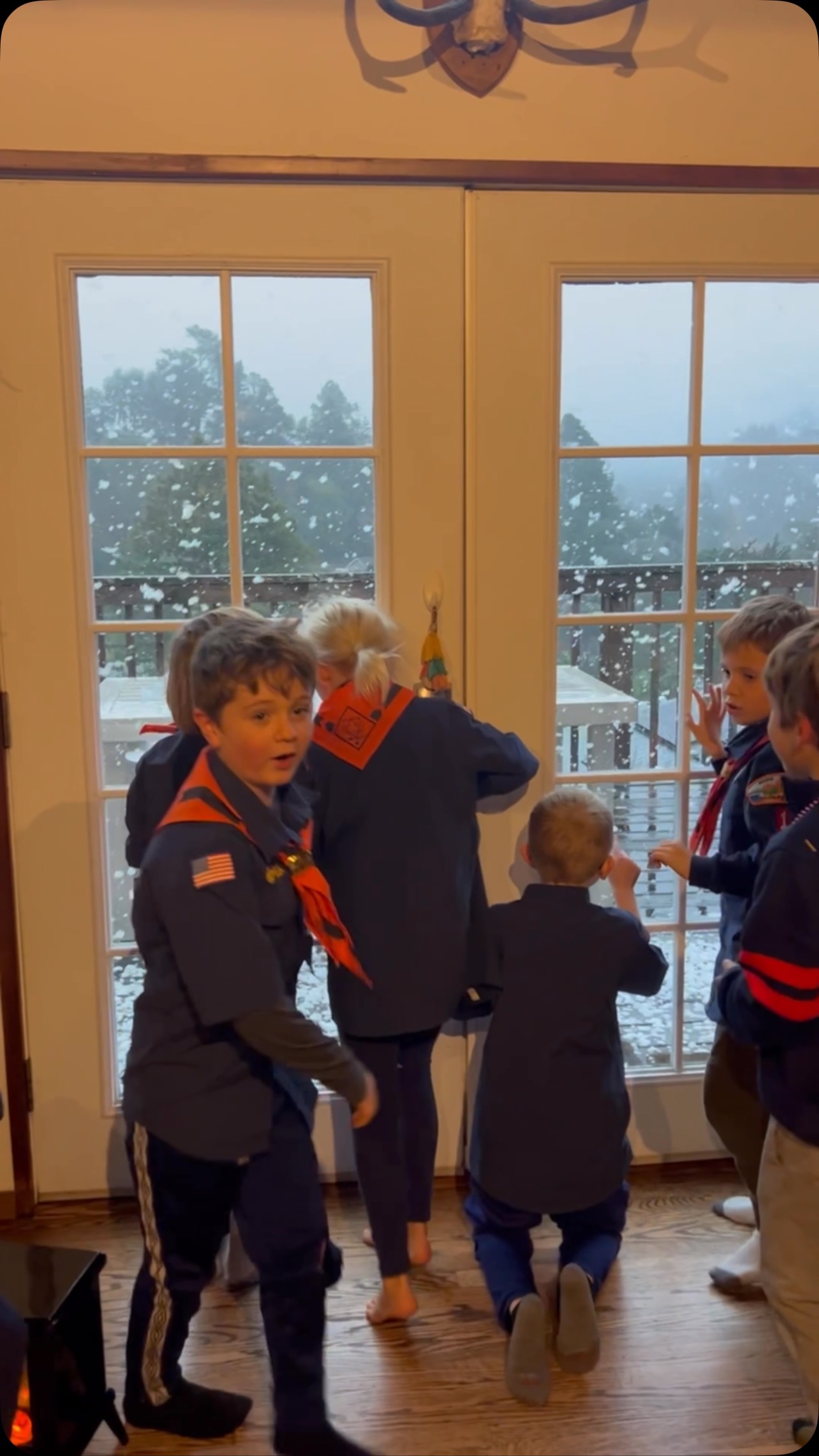 ❄️❄️❄️We created a little holiday magic in Mill Valley ❄️❄️❄️❄️