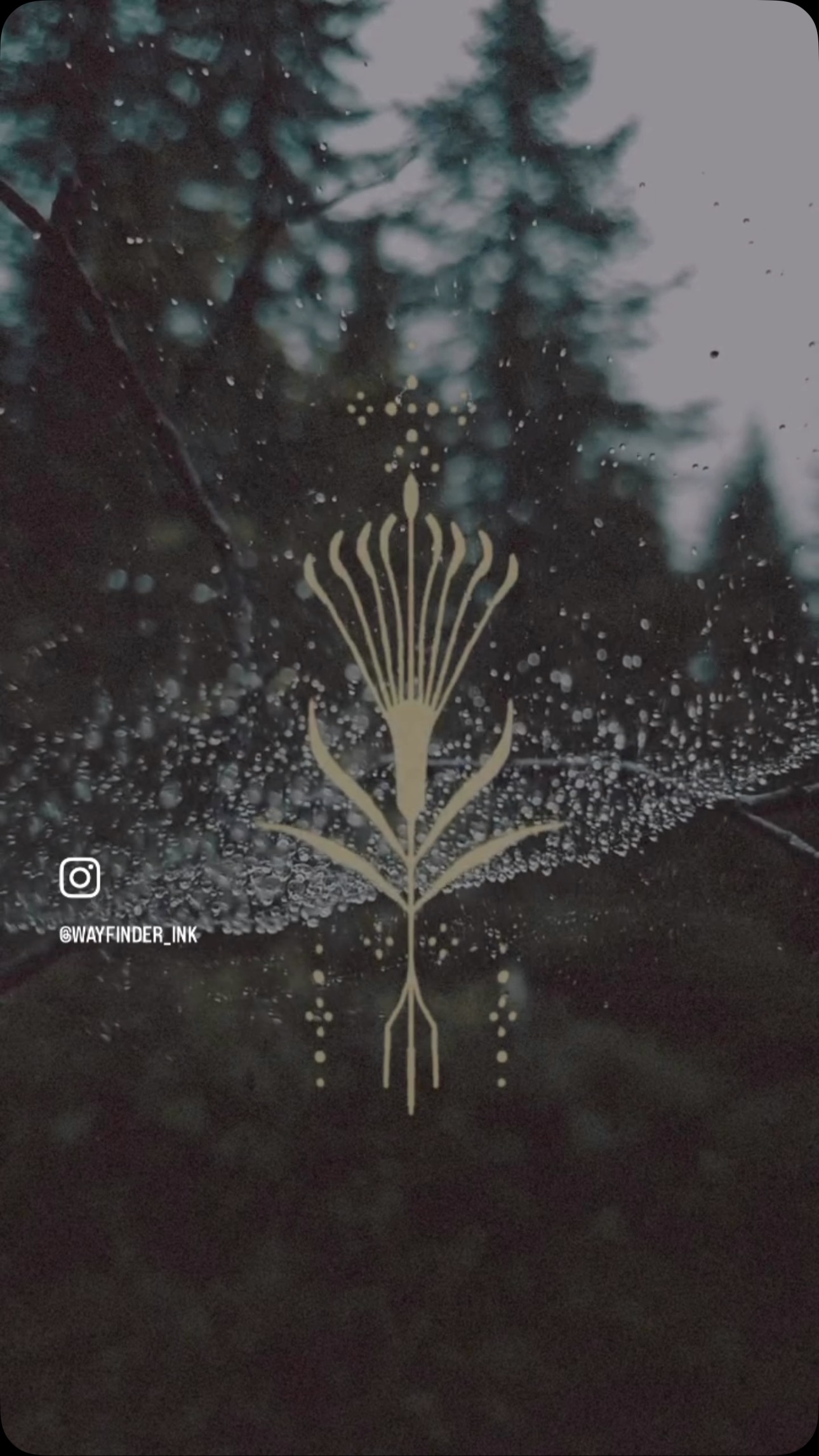 🕸️ Liminal Spaces 🕸️ ( with @wayfinder_ink )
Flash Day @songdog.studios on Friday Jan 24th.
The space between an inhale and an exhale.
The space between death and rebirth.
The space between the sunset and moonrise.
The space after the caterpillar and before the butterfly.
The space between chaos and void.
Come receive a handpoke tattoo talisman honoring the wisdom of in-betweens. All designs will be available once at a max of 3 inches. Body placement is open. Time slots are open between 10-6. Please DM @wayfinder_ink to secure your spot!