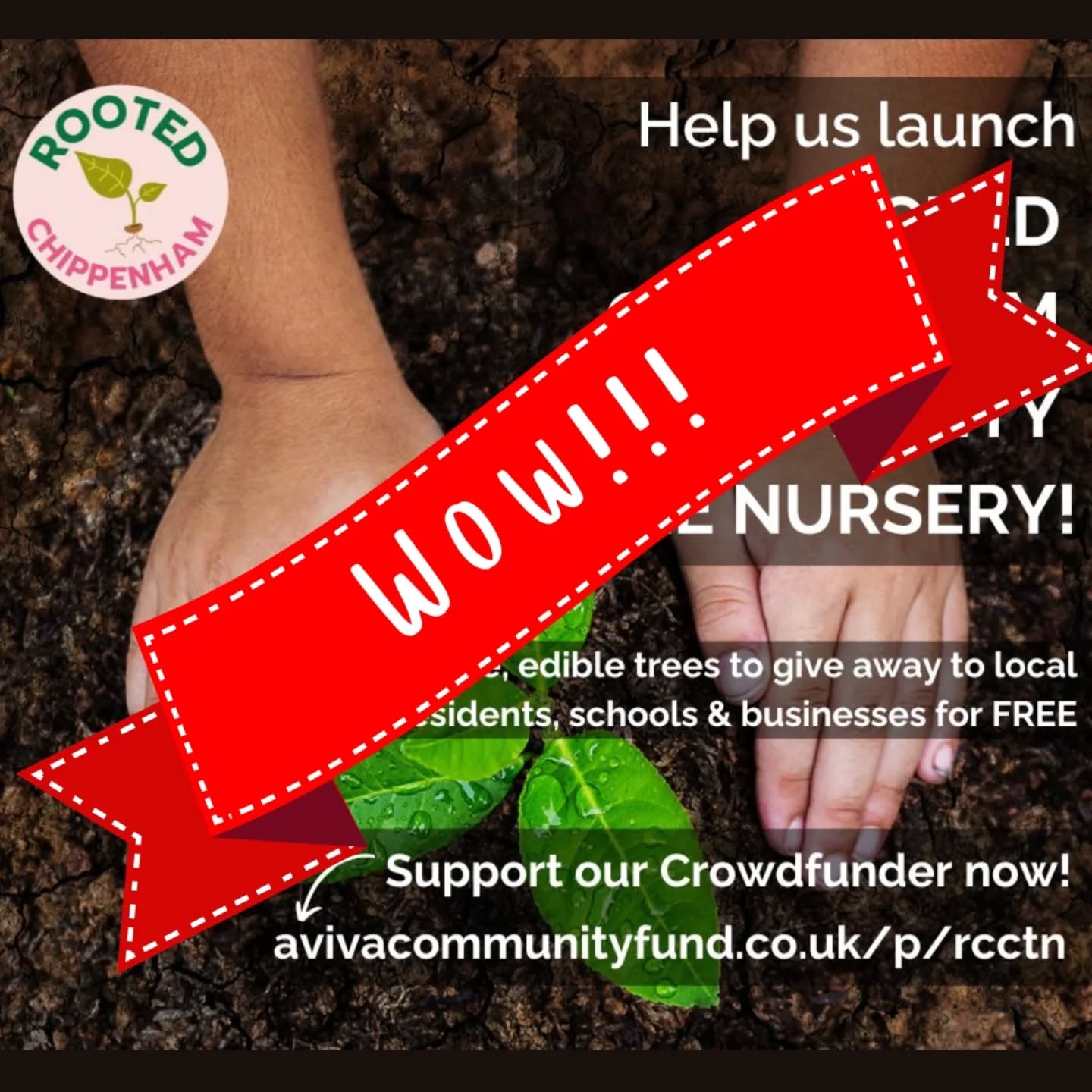 WOW! We've hit our initial target in under 20 hours!!!
We are completely blown away by your support - we've only gone and managed to achieve our initial target of £1,500 in under 20 hours of our Crowdfunder going live!!!
A gigantic thank you to all our funders, supporters, sharers and volunteers who helped make this happen, it really is incredible: Rooted Chippenham Community Tree Nursery will definitely be established and it's all thanks to you!
But let's not stop there. We've just set our stretch target of £3,000 which will enable us to:
Grow twice the number of trees, up to 1,000 per year
Grow a wider variety of native tree species
Supply more free tree guards with our saplings
We also have LOADS of brilliant funder rewards still available. So please keep Rooting for us, by donating and sharing this Crowdfunder - let's make it something truly special!!
#communitytreenursery #communitygarden #biodiversity #greenchippenham #growthefuture