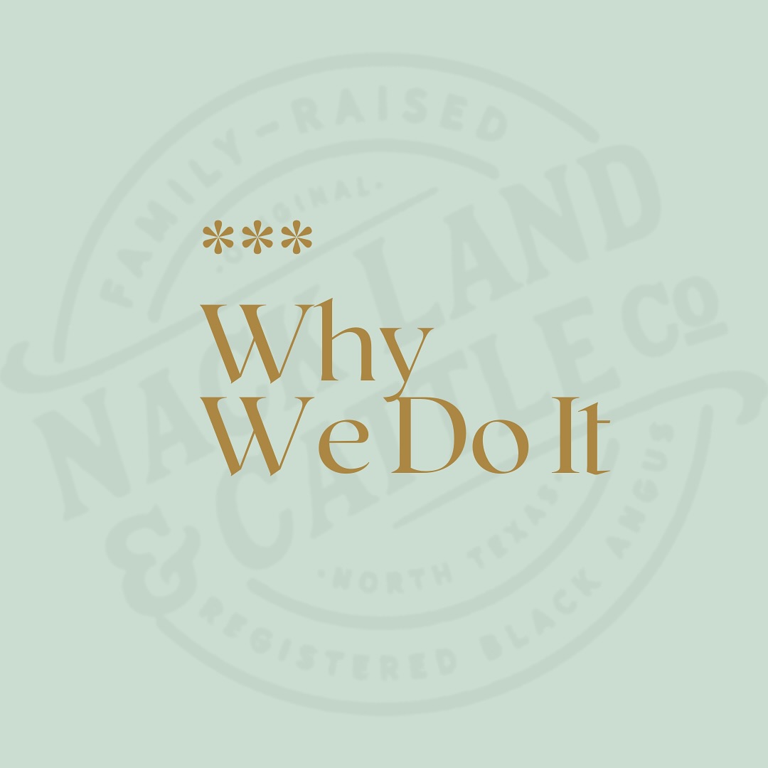 We’re passionate about providing our community with high-quality, locally raised beef that reflects our commitment to sustainability and ethical farming practices. As a family operation, we take pride in carrying on traditions passed down through generations, ensuring our cattle are raised with care and respect. Ultimately, we do what we do because we believe in the value of hard work, integrity, and delivering the best to our neighbors in North Texas.