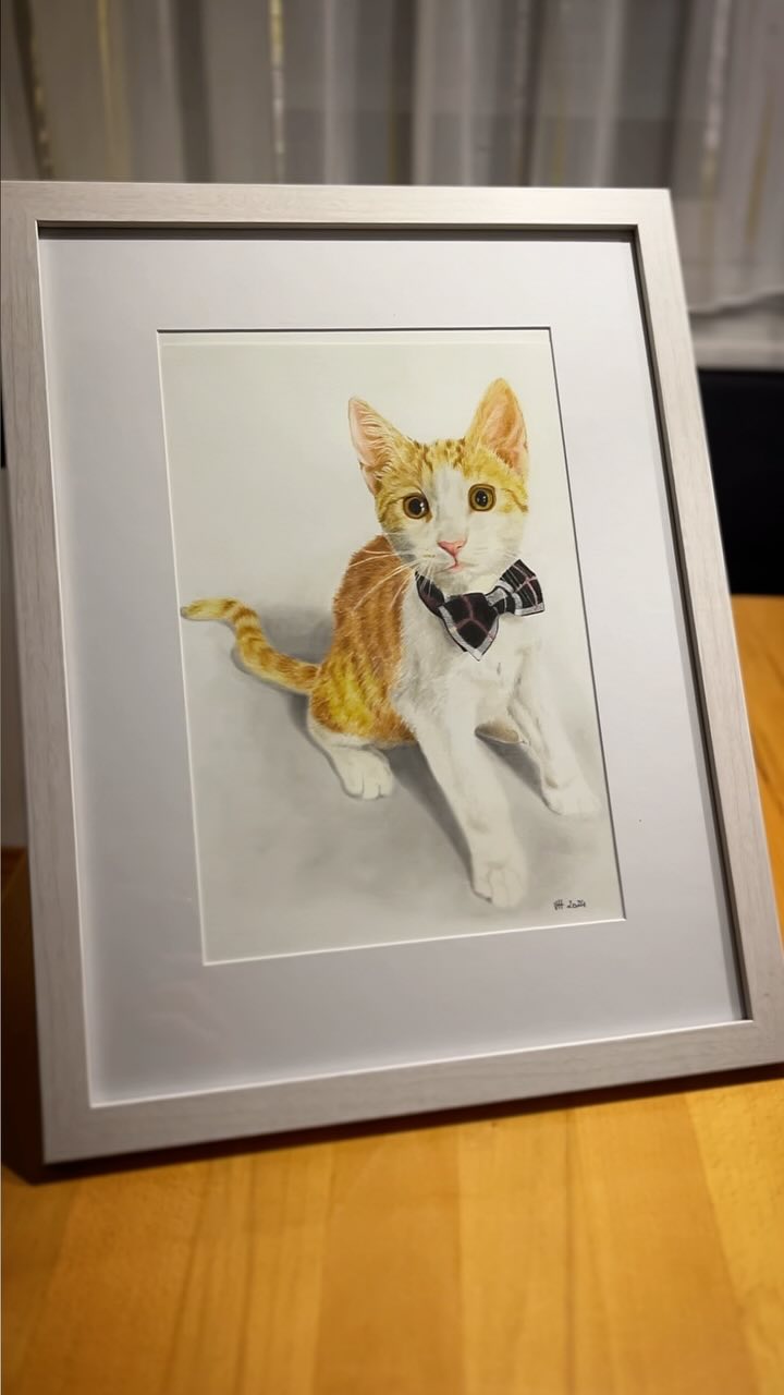 Katzenporträt 🐈
So viele kleine Details in diesem Bild.
Die feinen Schnurrhaare, die Farben seiner Masche 🎀, der Schatten, die Übergänge zwischen weißem und orangem Fell🤍🧡, …!
Es ist immer wieder super spannend, Tiere zu zeichnen!✍🏼✨🫶🏻
#katzen #zeichnen #tierportrait #artbyviktoria #polychromosfabercastell #catdrawing #dowhatyoulove
